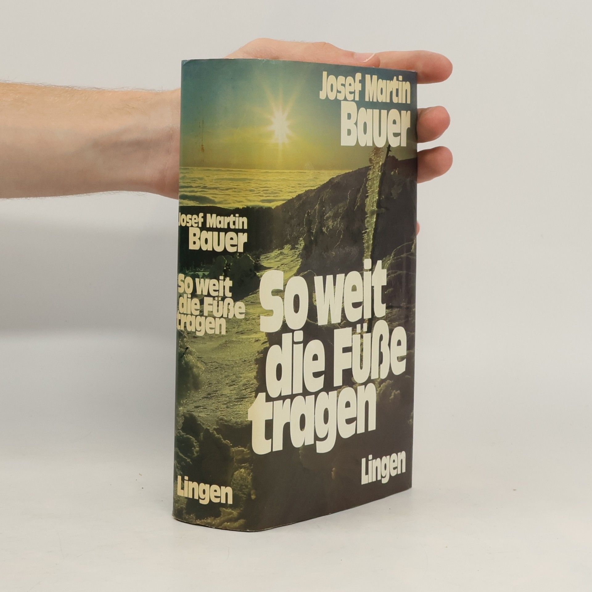 Josef Martin Bauer So weit die Füße tragen