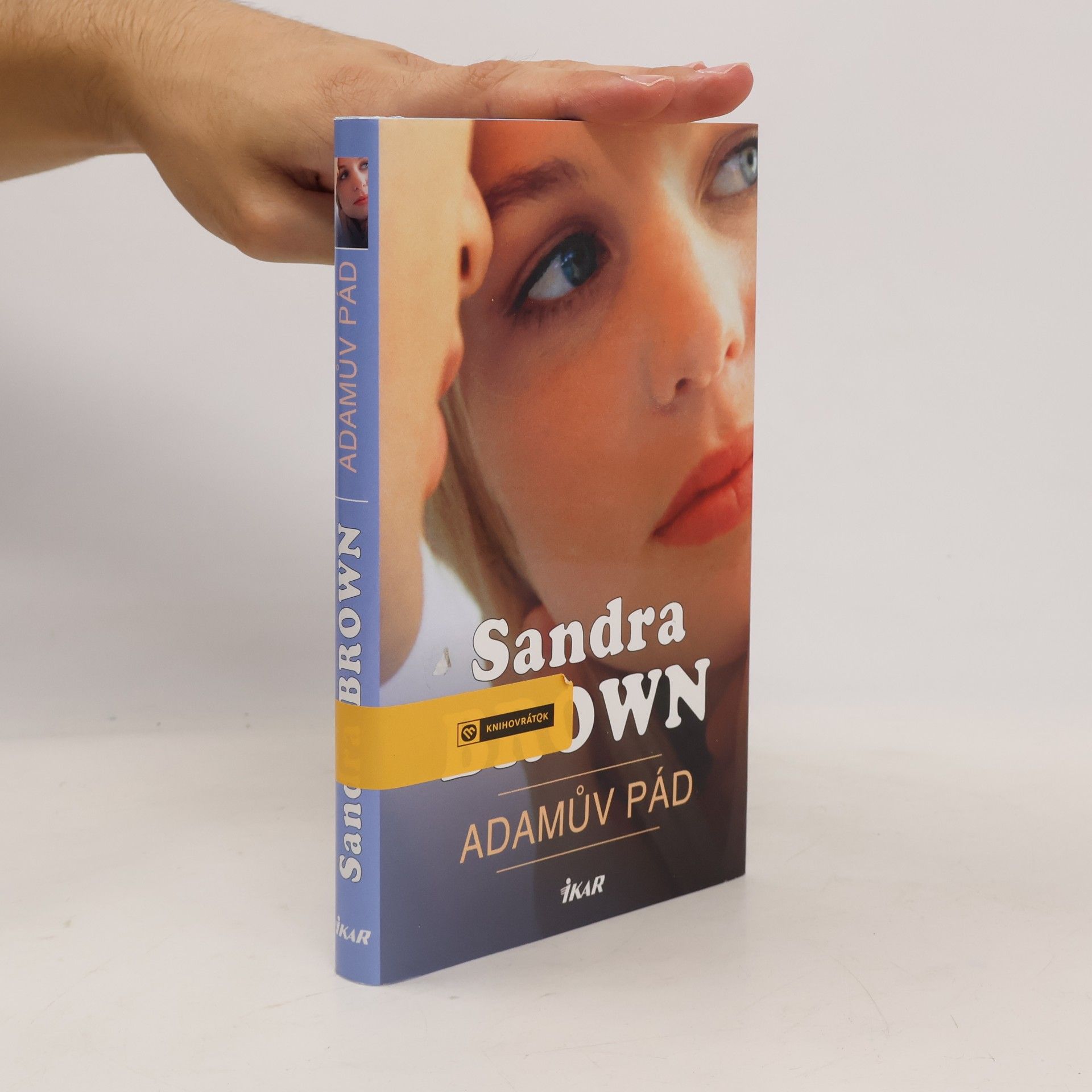 Sandra Brown Adamův pád