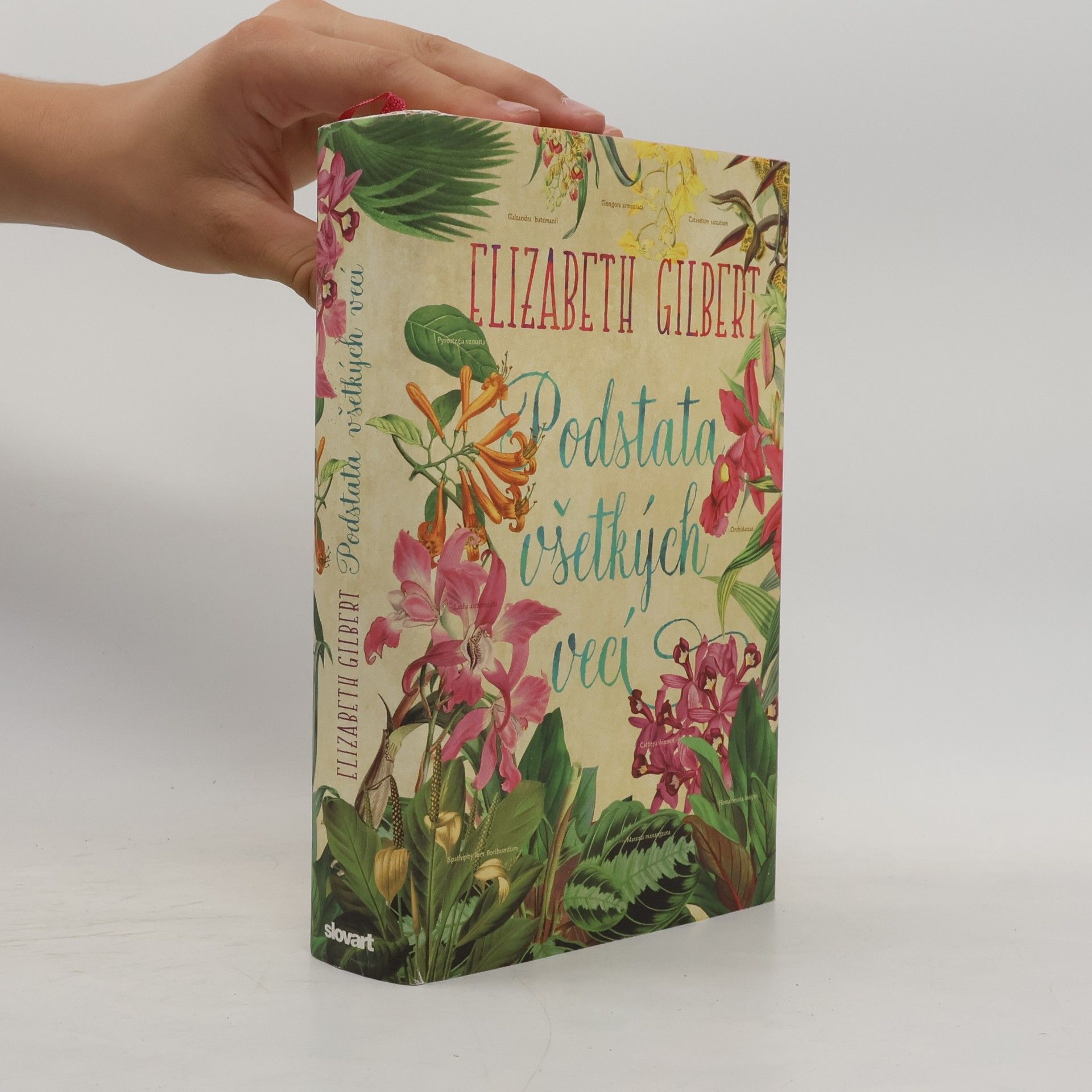 Elizabeth Gilbert Podstata všetkých vecí