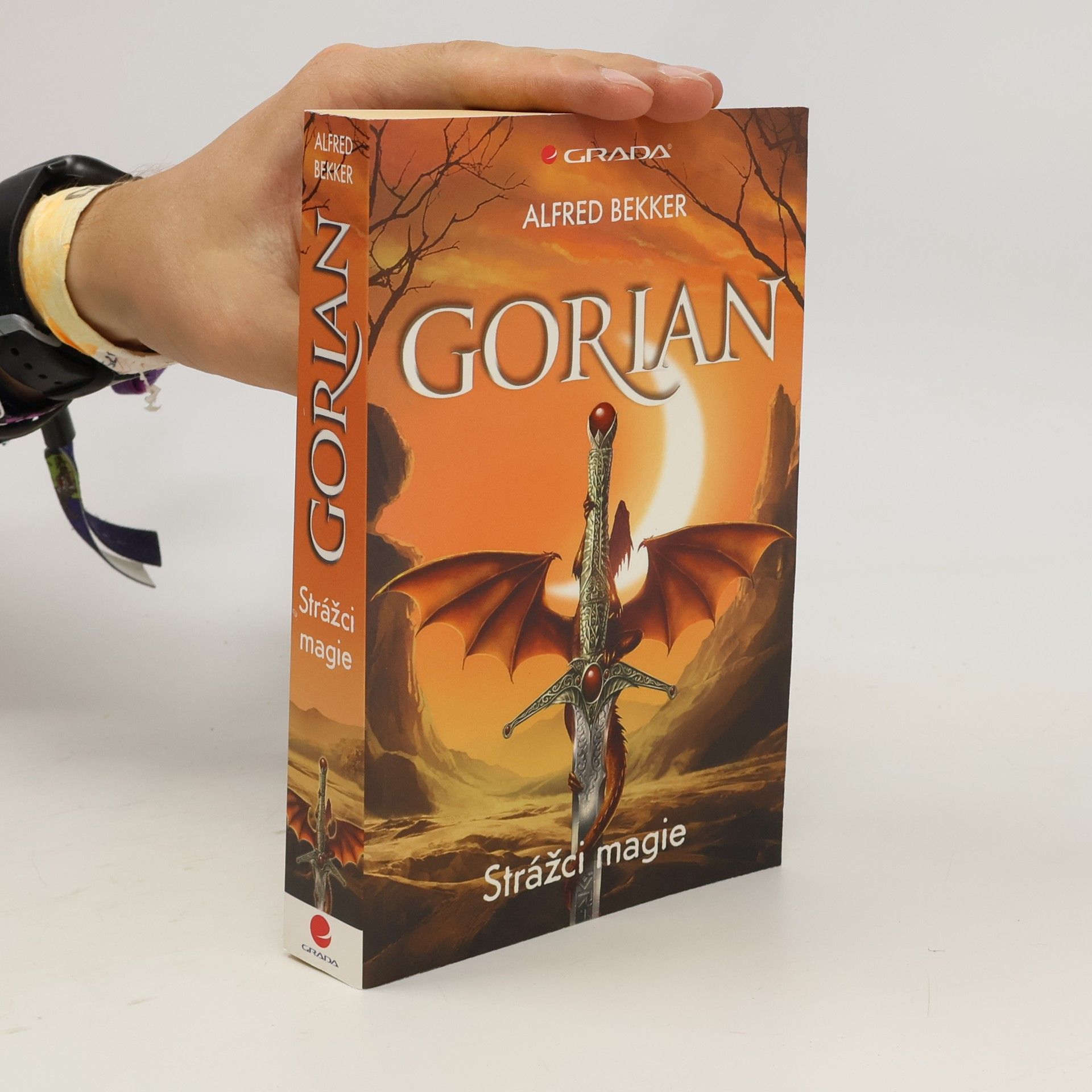 Alfred Bekker Gorian. Strážci magie
