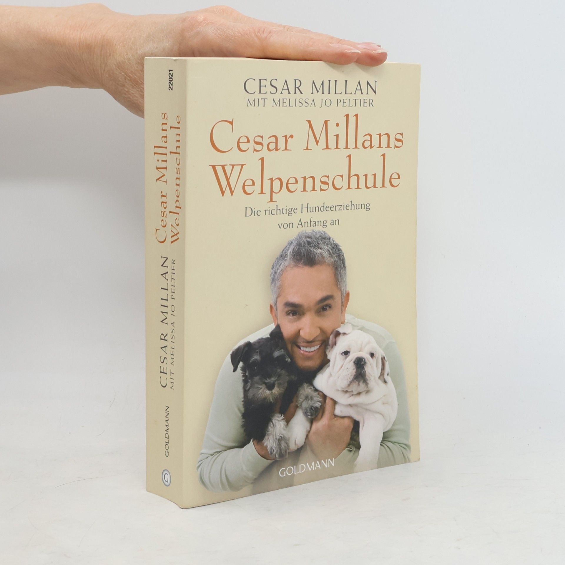 Cesar Millan Cesar Millans Welpenschule