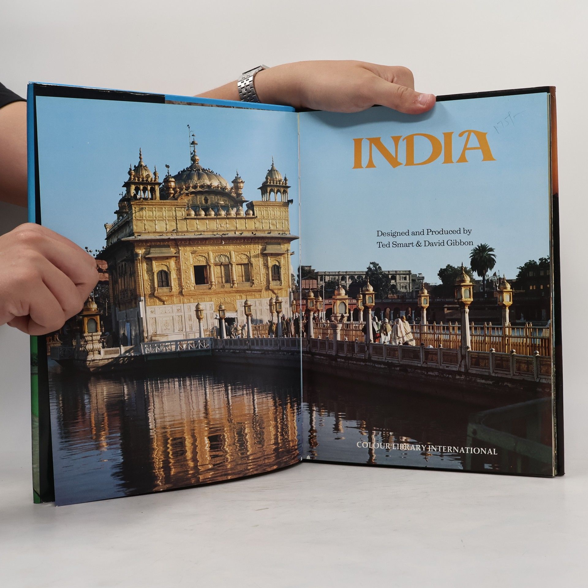 Ian Digby India