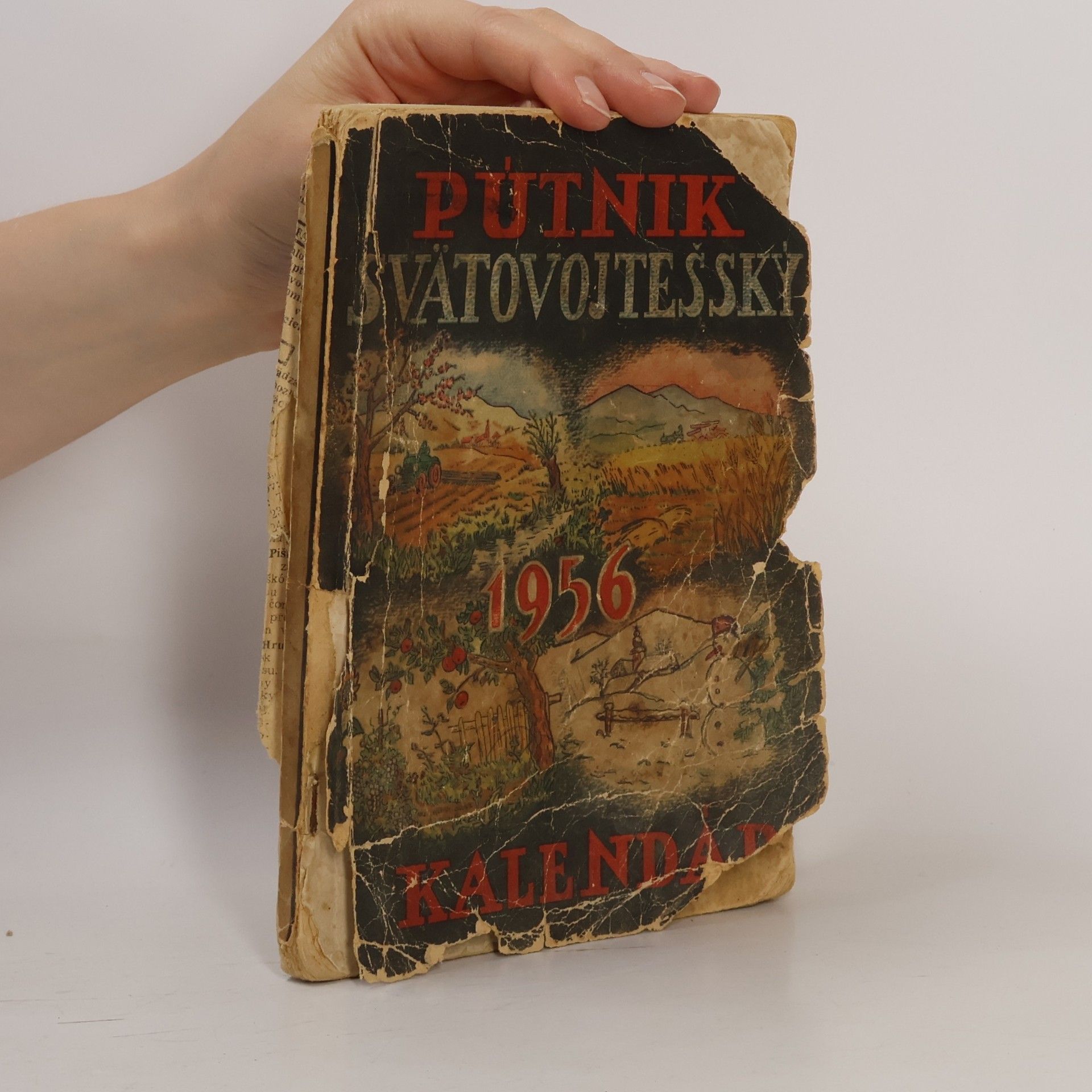 Autorenkollektiv Pútnik svätovojtešský kalendár 1956