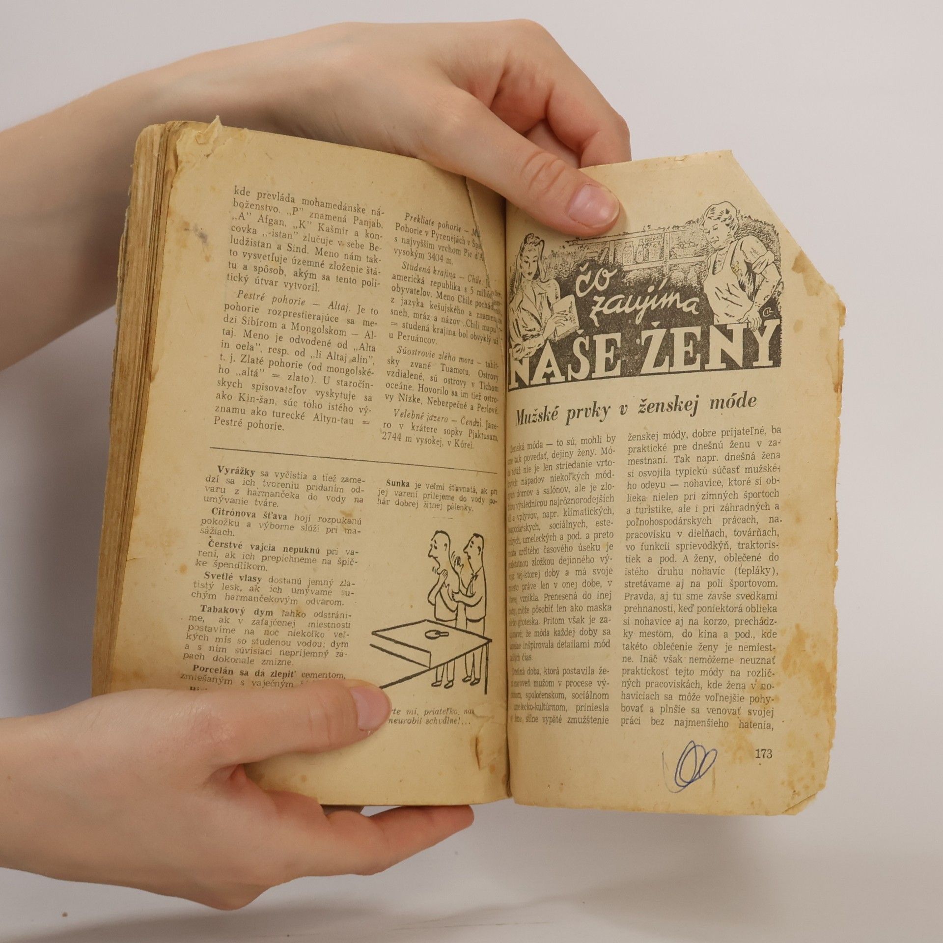 Autorenkollektiv Pútnik svätovojtešský kalendár 1956
