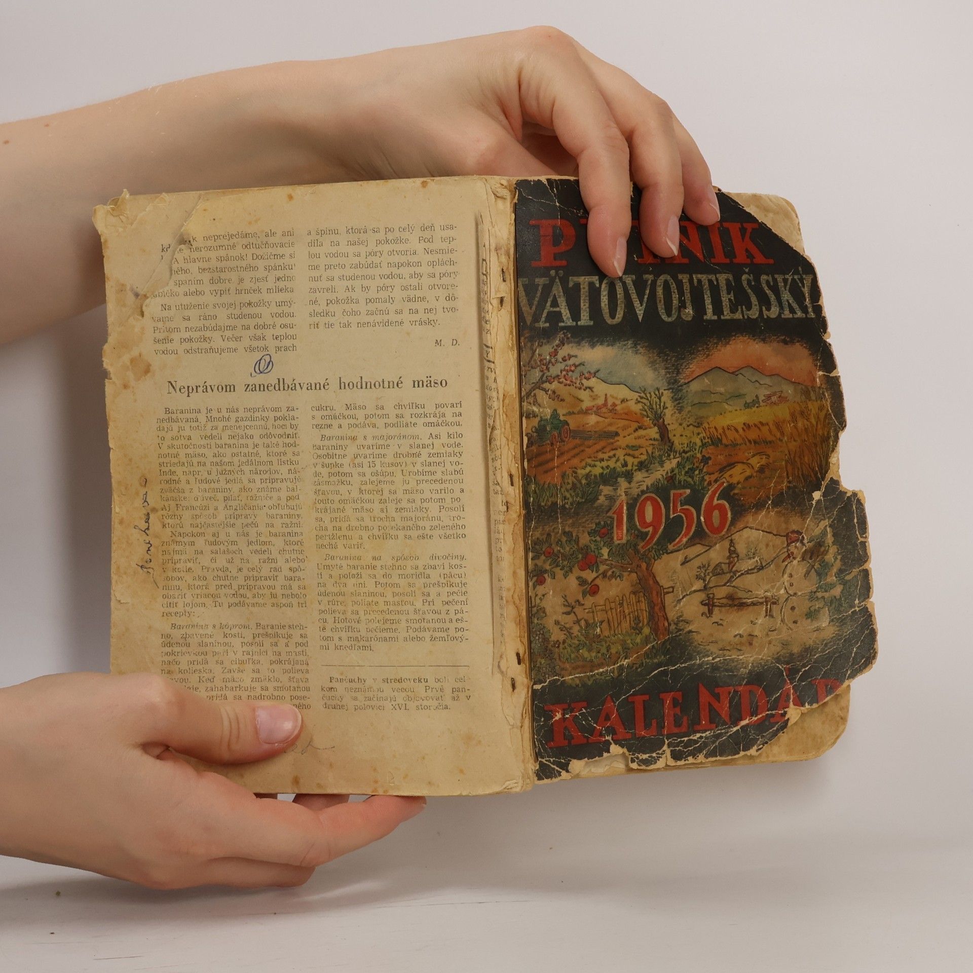 Autorenkollektiv Pútnik svätovojtešský kalendár 1956