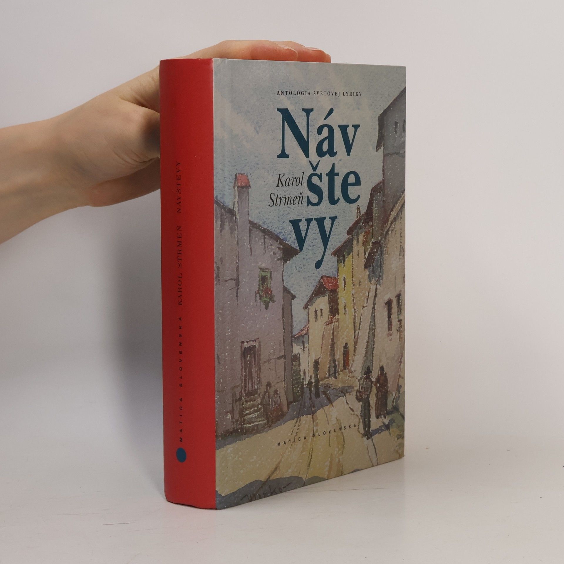 Karol Strmeň Návštevy