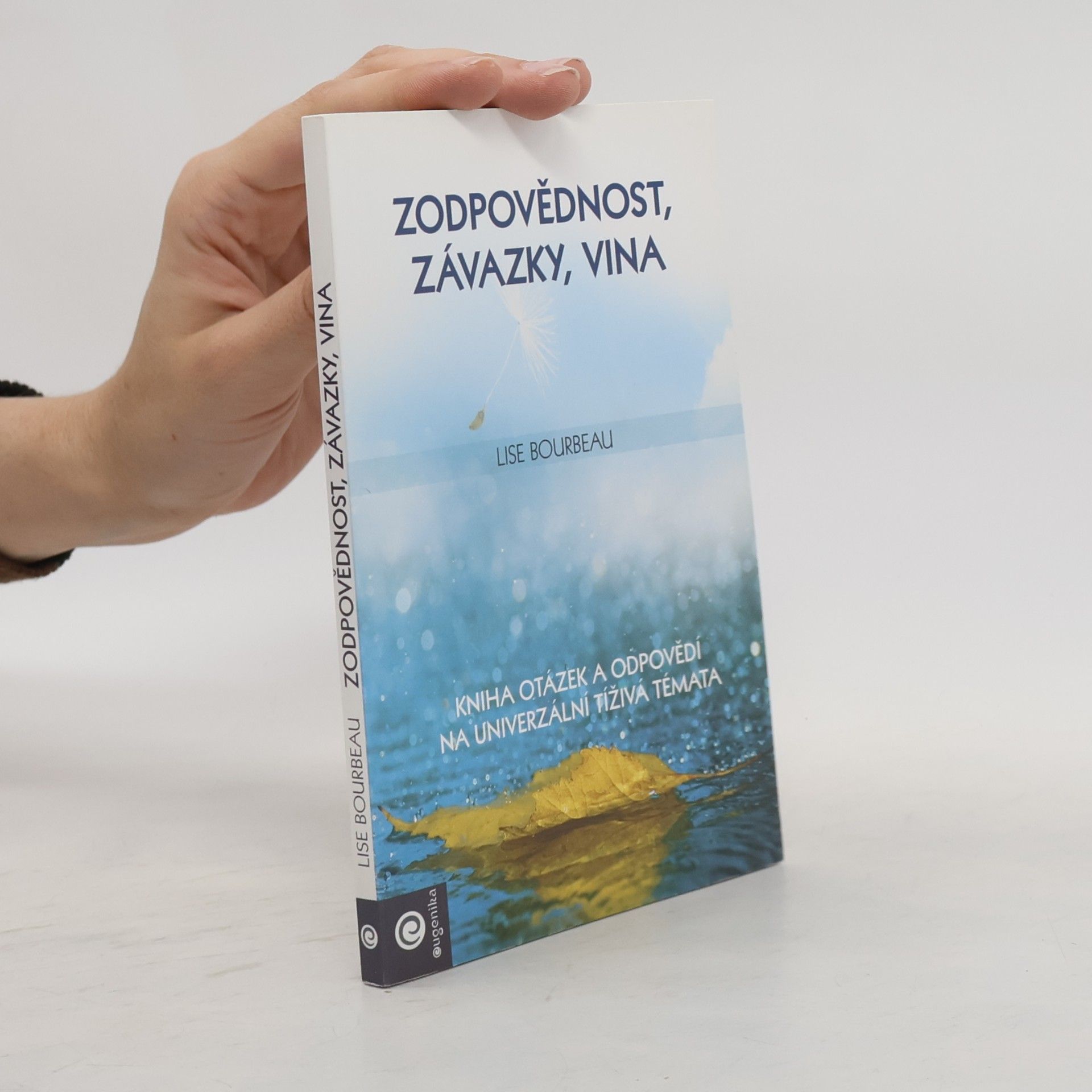 Marie Bervicová Zodpovědnost, závazky, vina