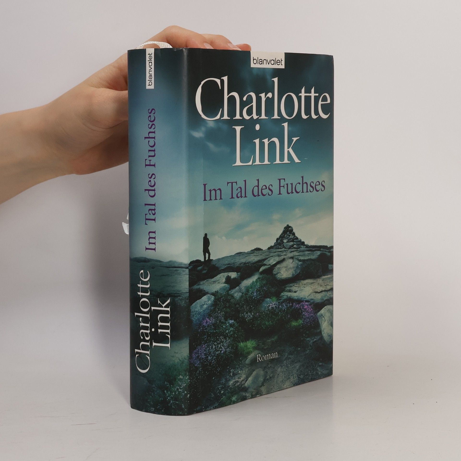 Charlotte Link Im Tal des Fuchses