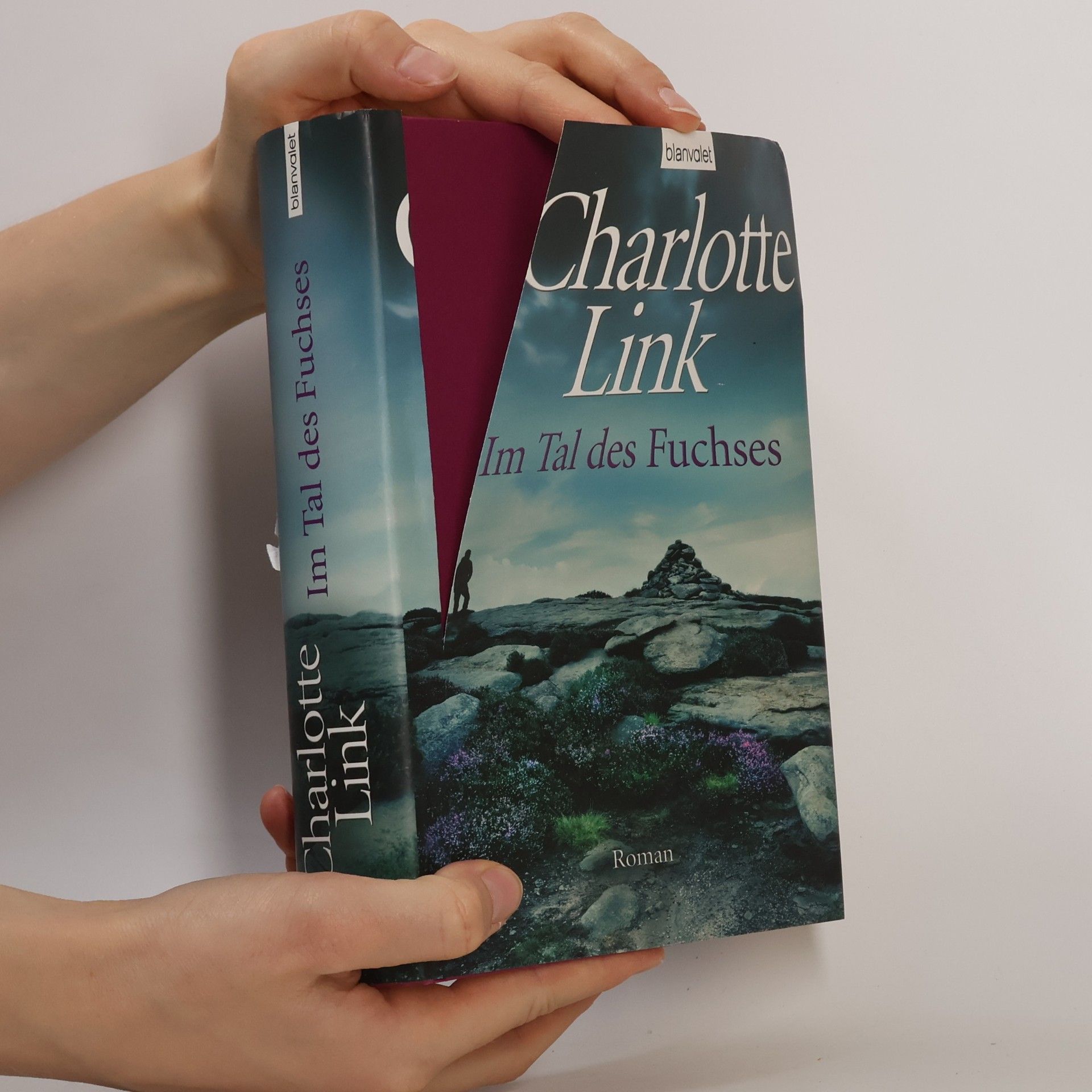 Charlotte Link Im Tal des Fuchses