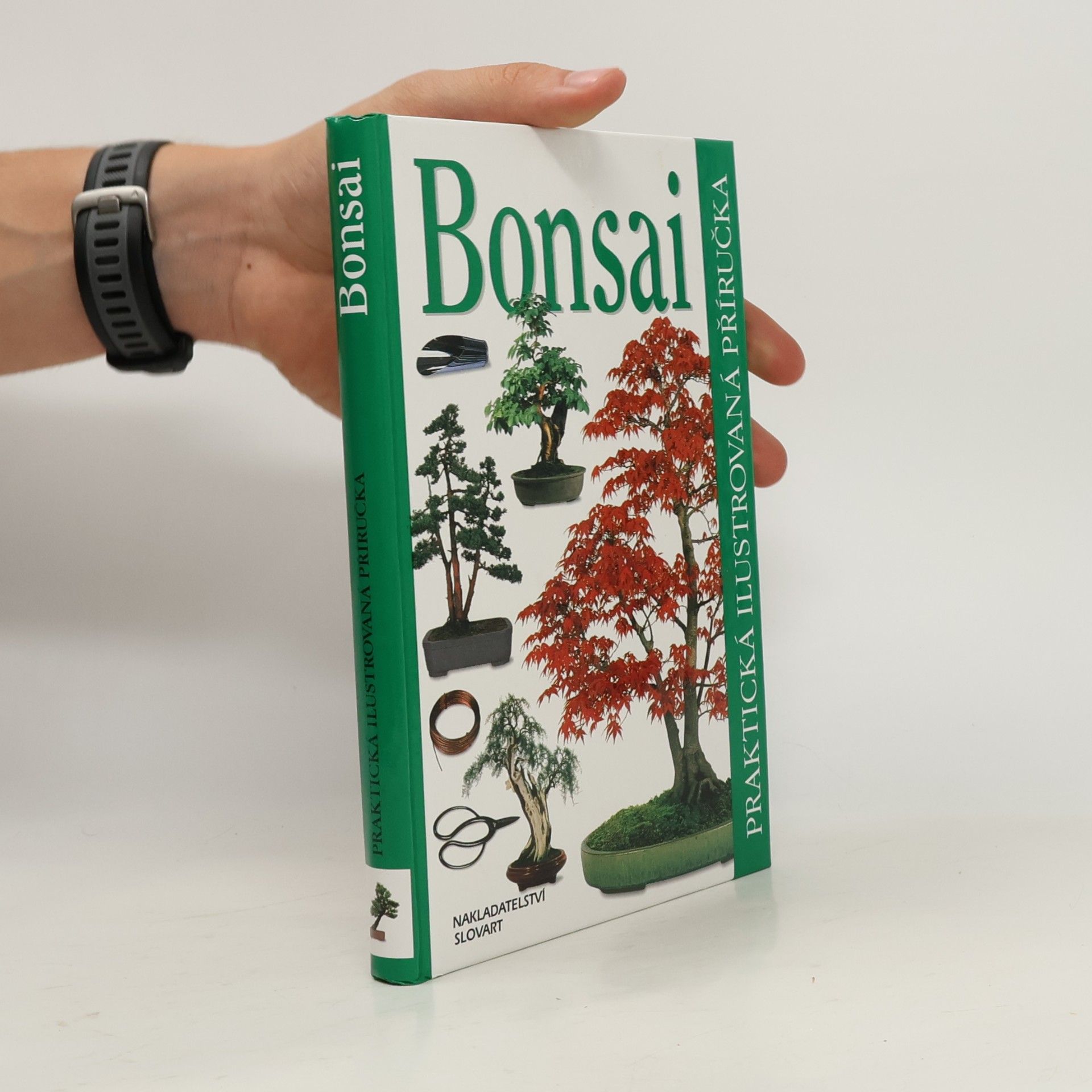 Dana Wiesnerová Bonsai. Praktická ilustrovaná příručka