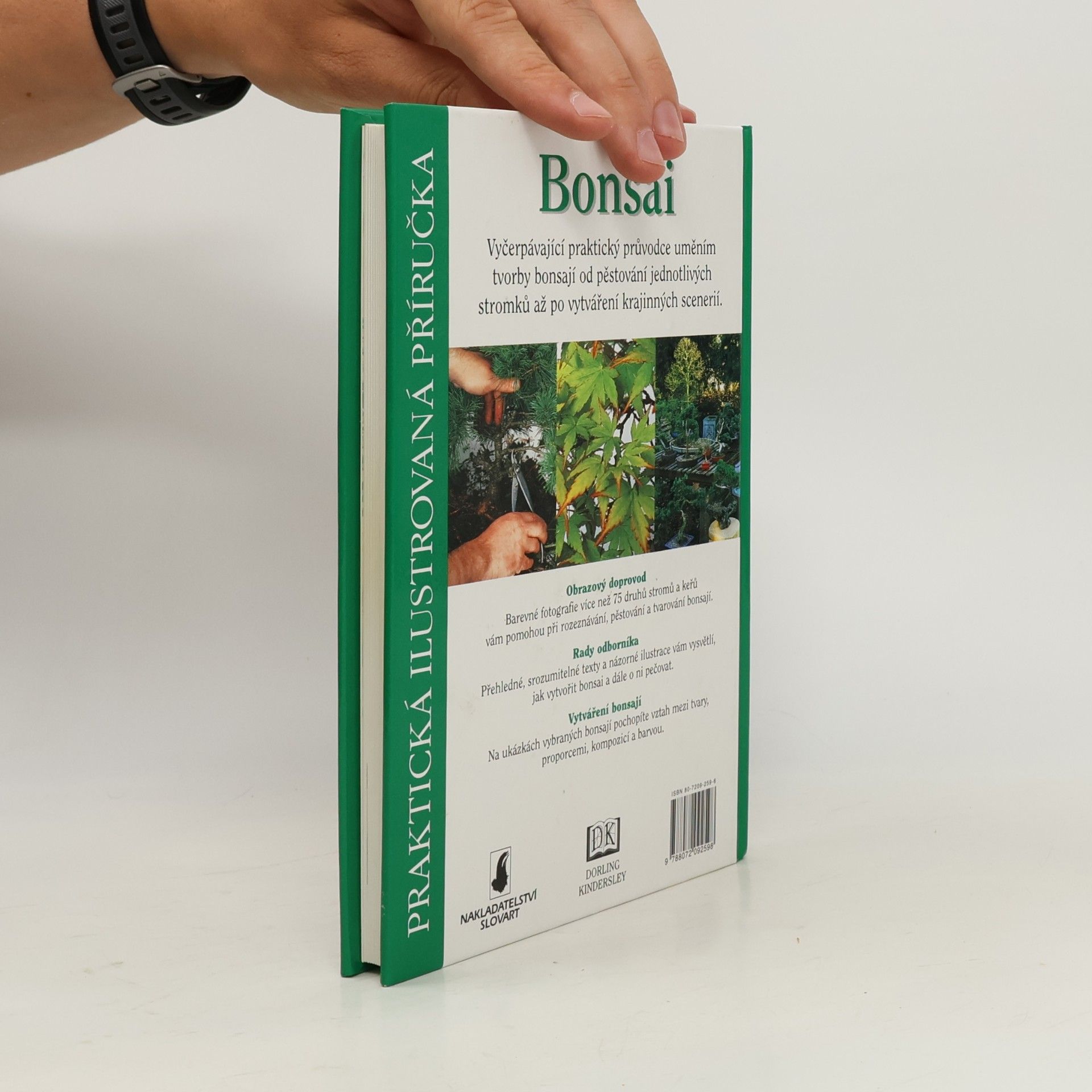 Dana Wiesnerová Bonsai. Praktická ilustrovaná příručka