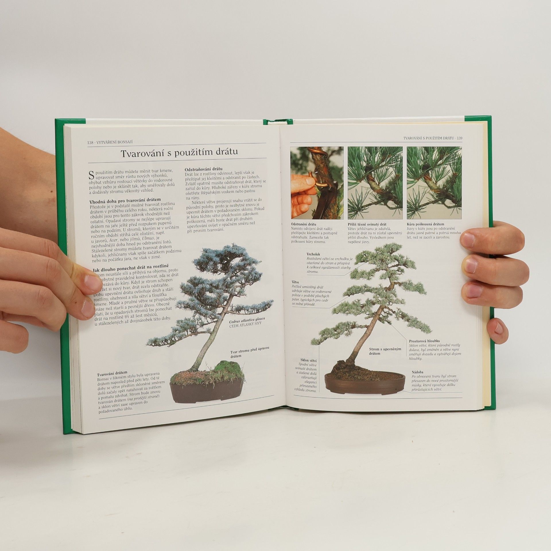 Dana Wiesnerová Bonsai. Praktická ilustrovaná příručka