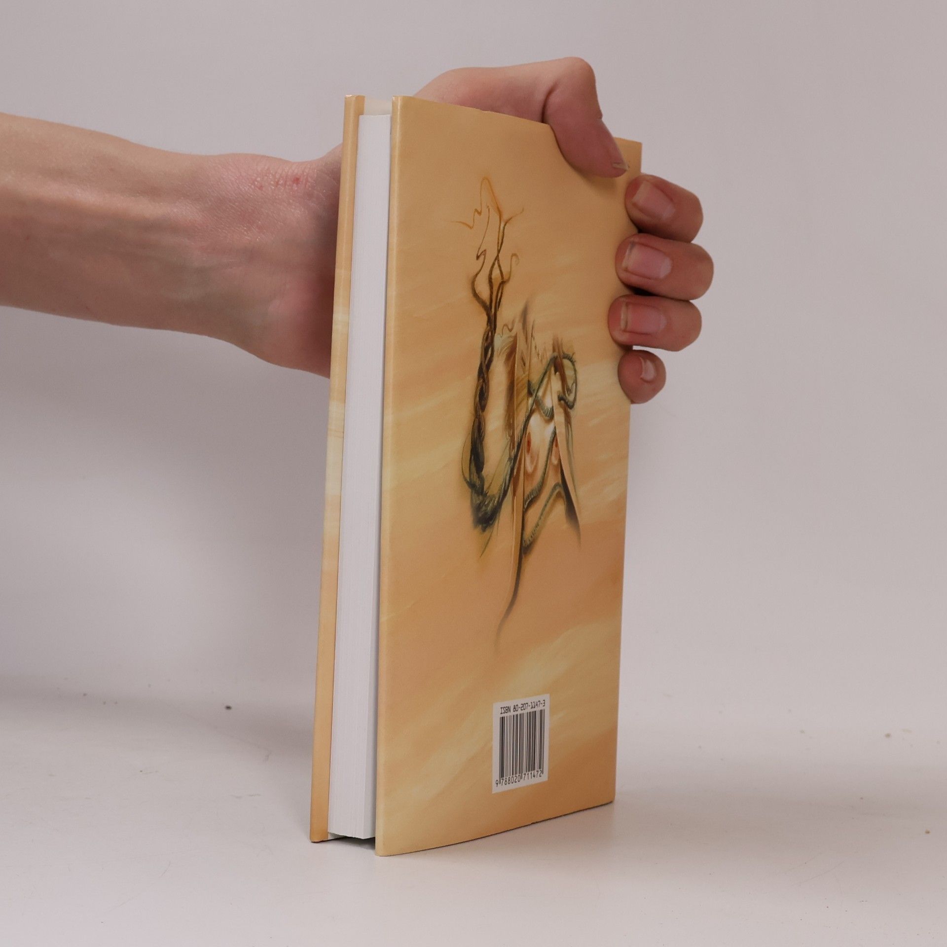 John Irving Manželství do 158 liber