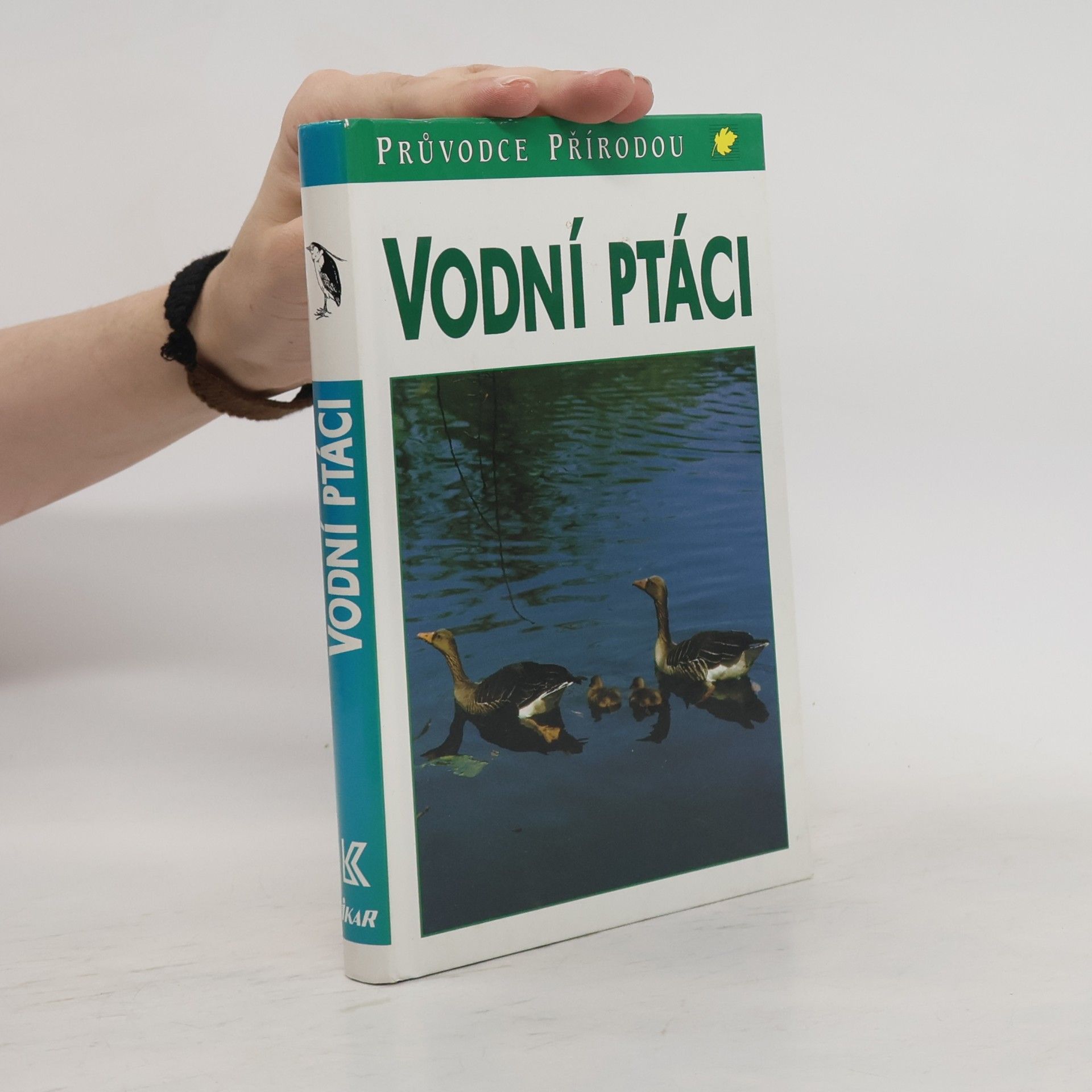 Sauer Frieder Vodní ptáci