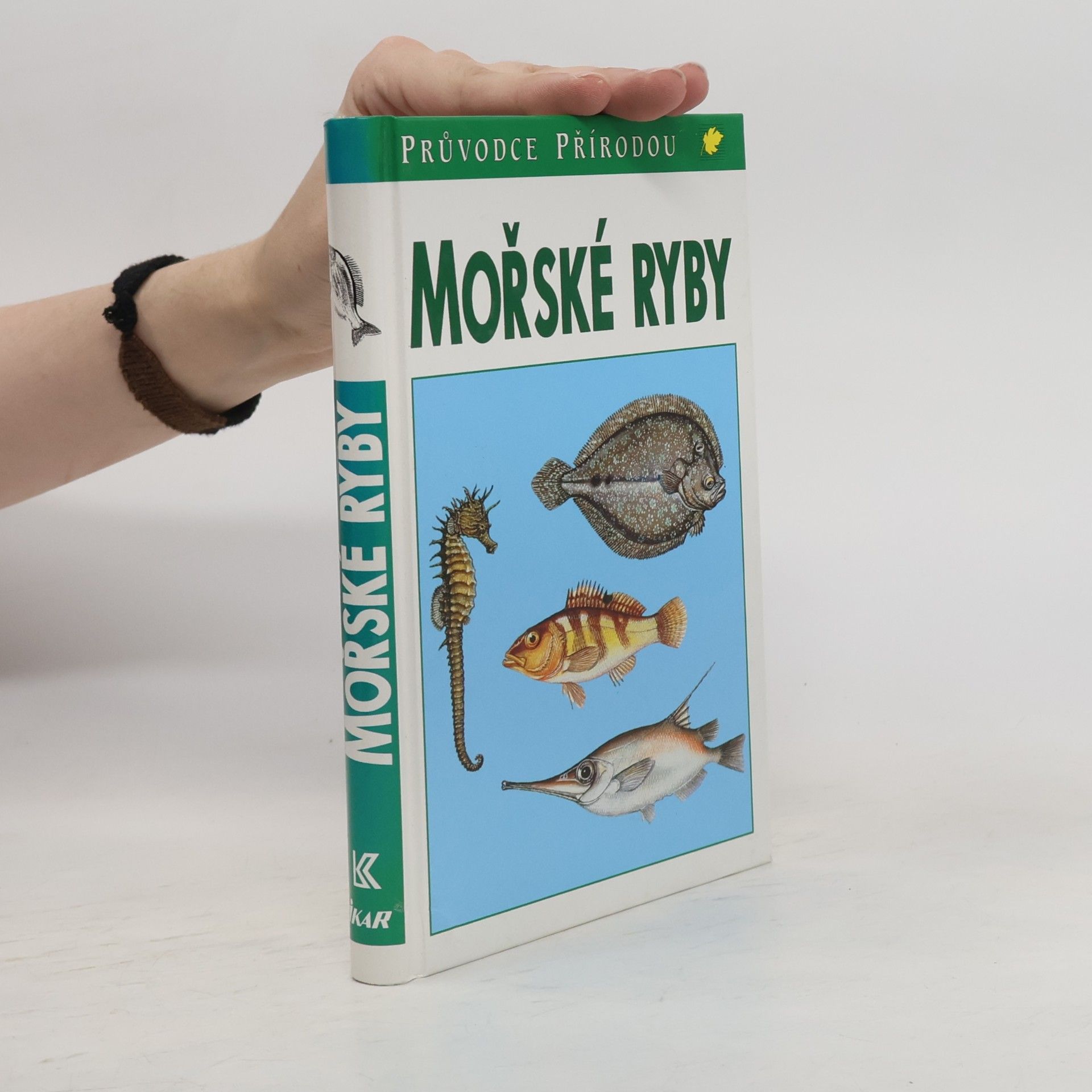 Mořské ryby v evropských vodách