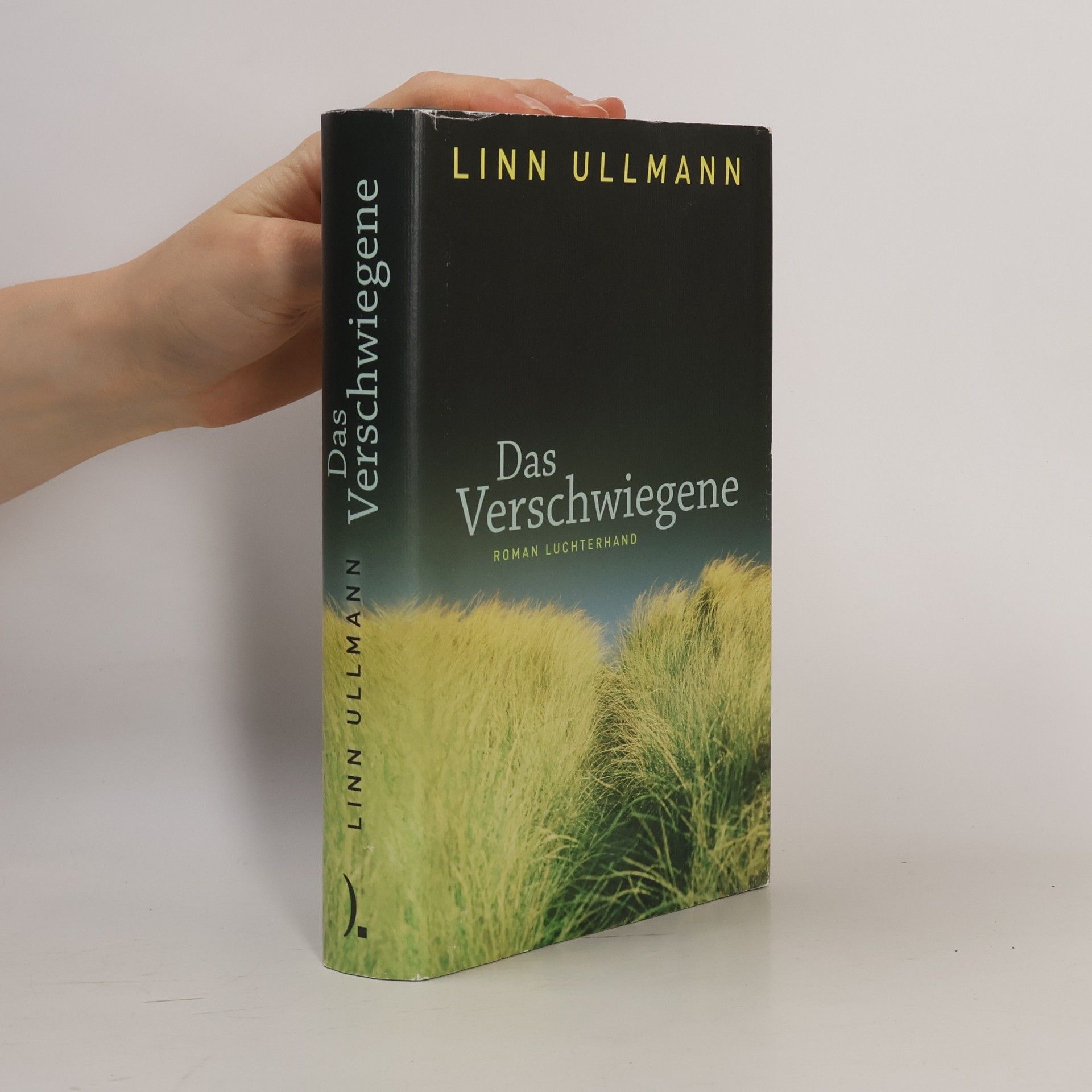 Linn Ullmann Das Verschwiegene