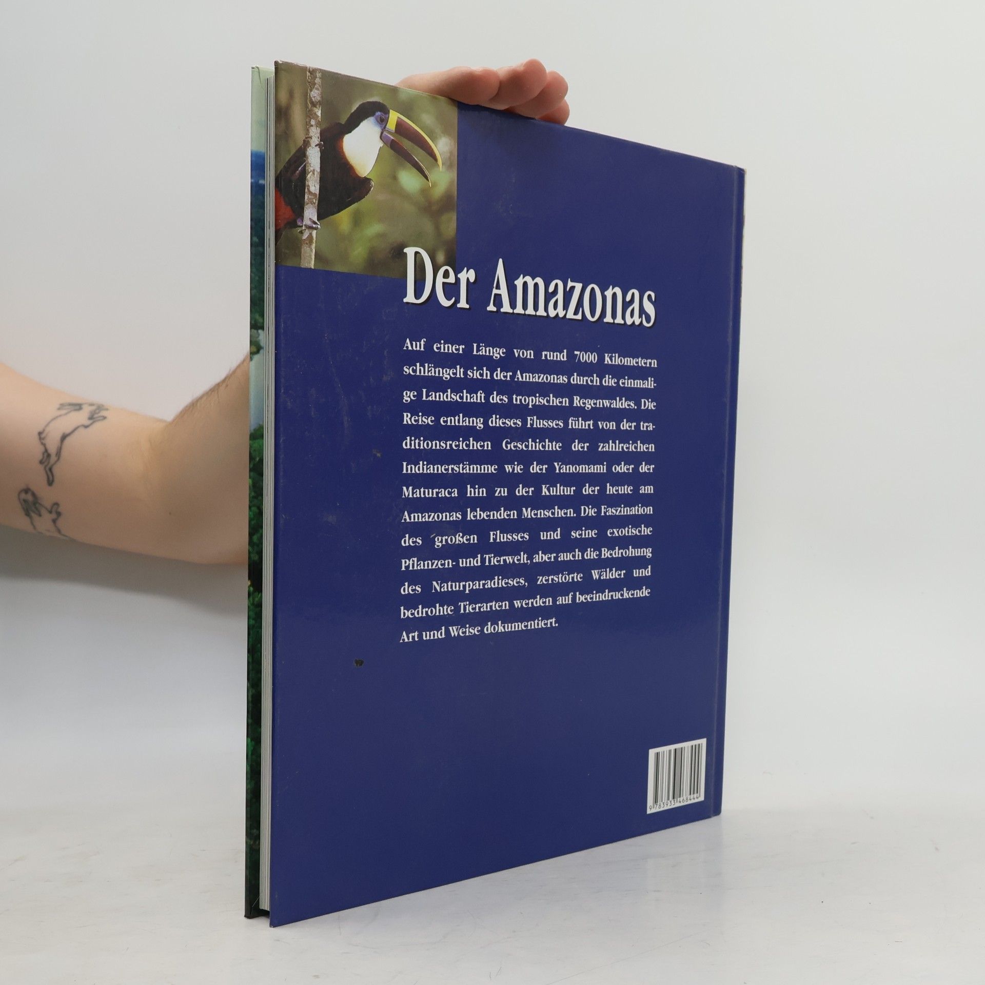 Fabienne Pavia Der Amazonas