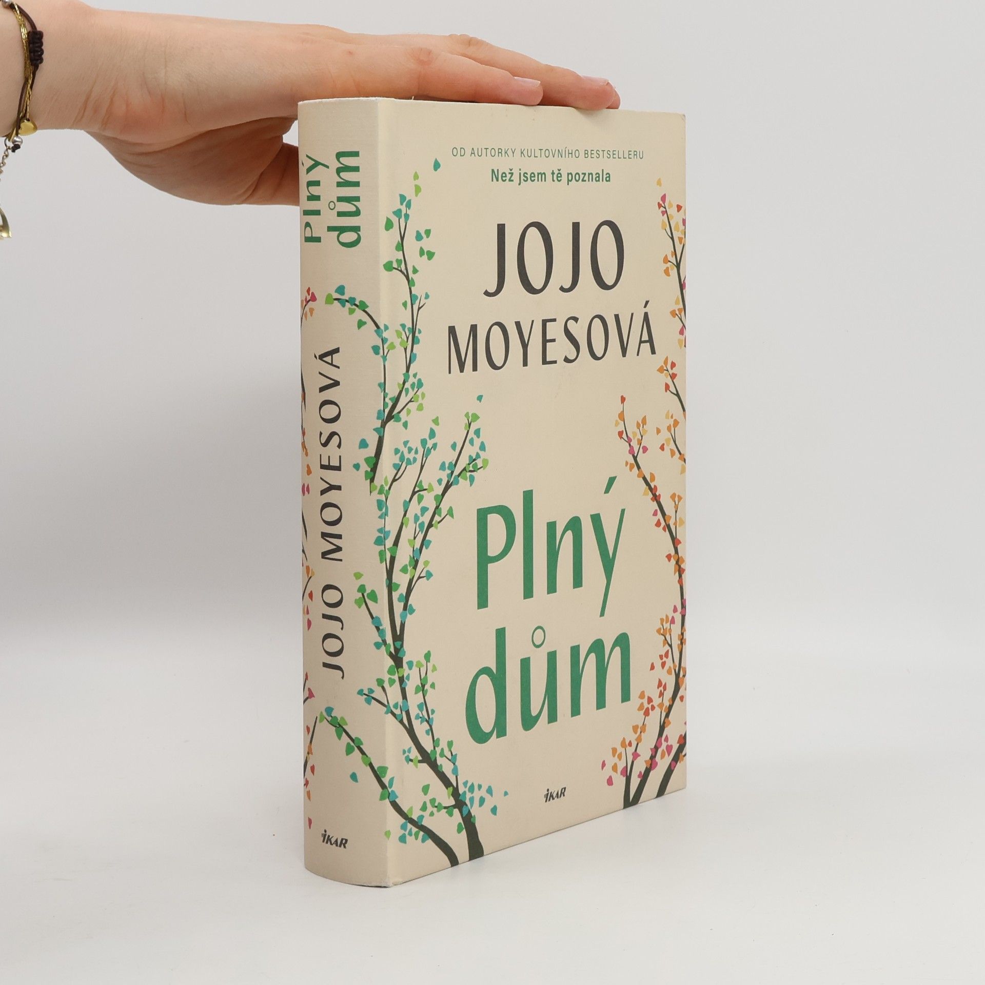 Jojo Moyes Plný dům