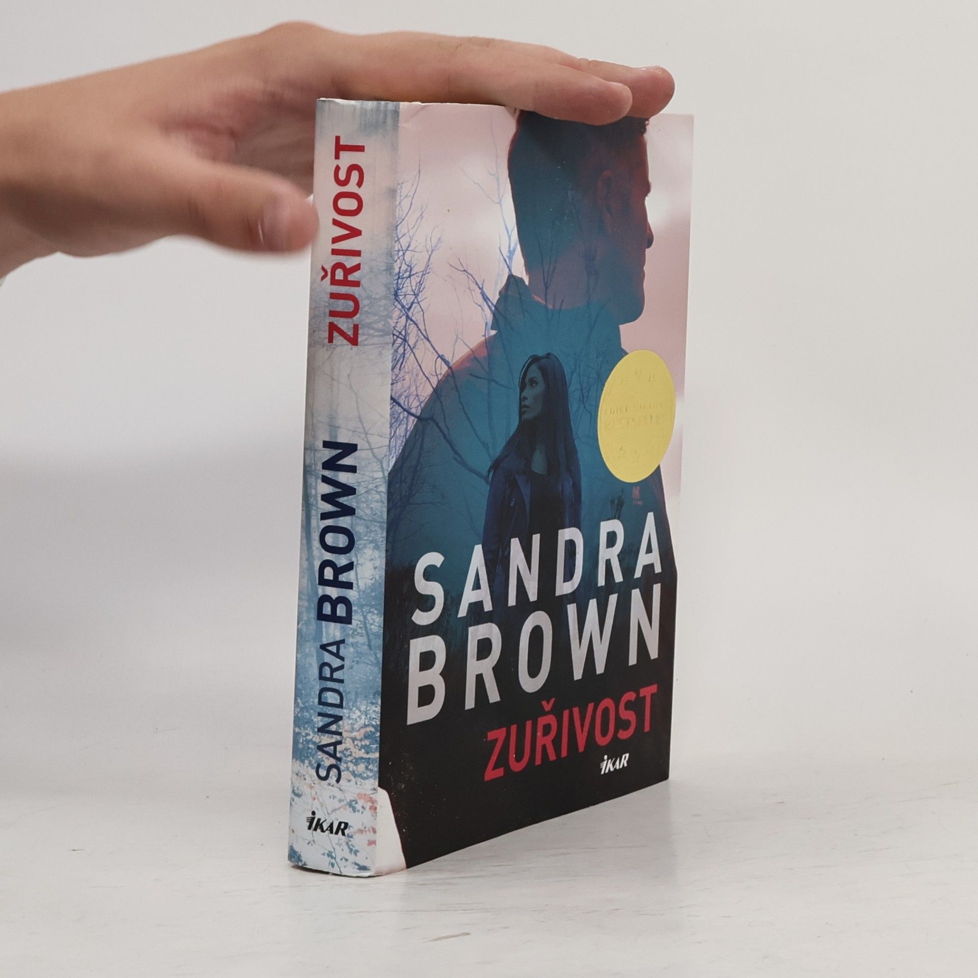 Sandra Brown Zuřivost