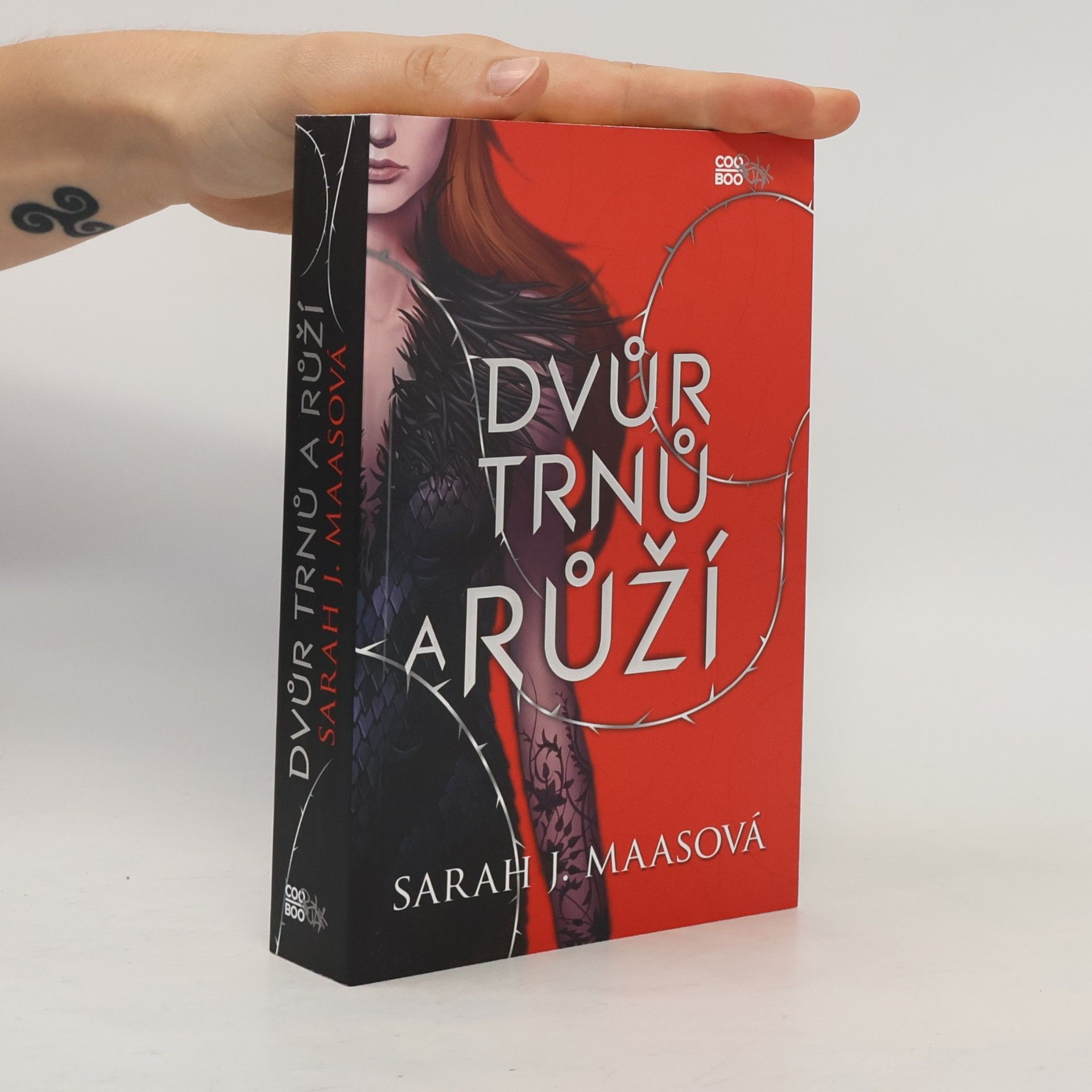 Sarah J. Maasová Dvůr trnů a růží