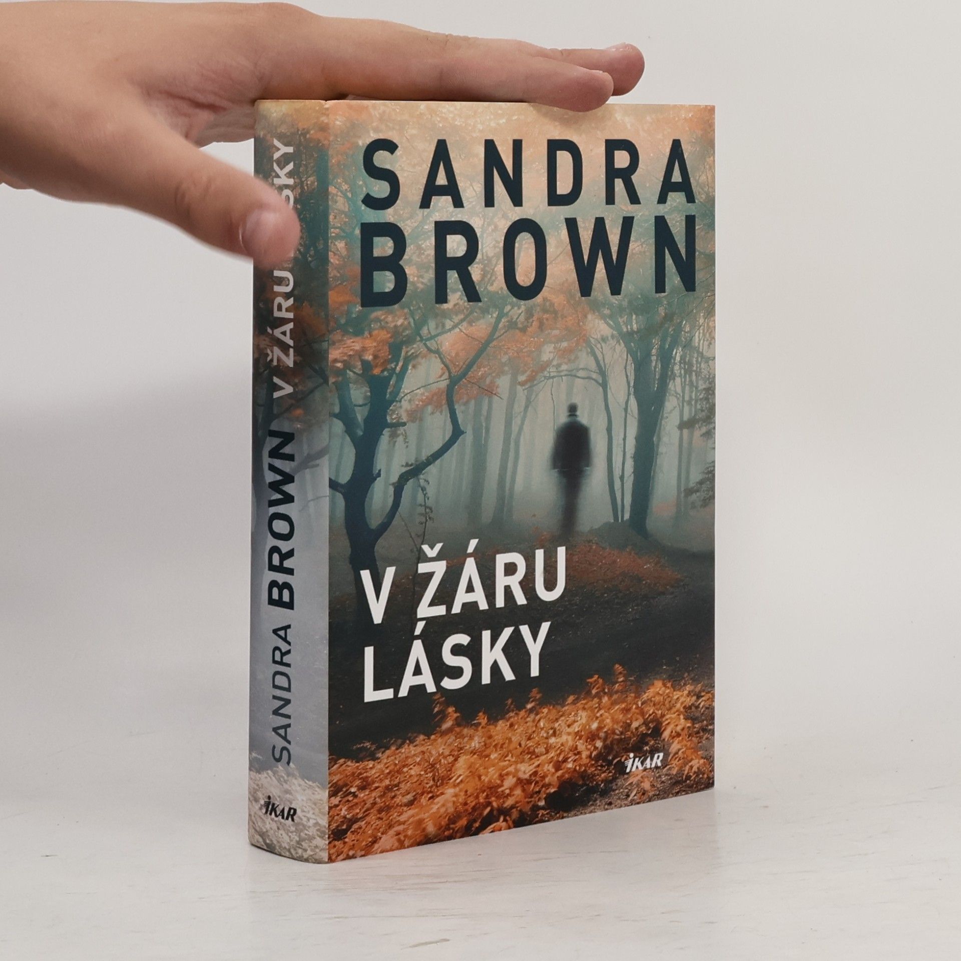 Sandra Brown V žáru lásky