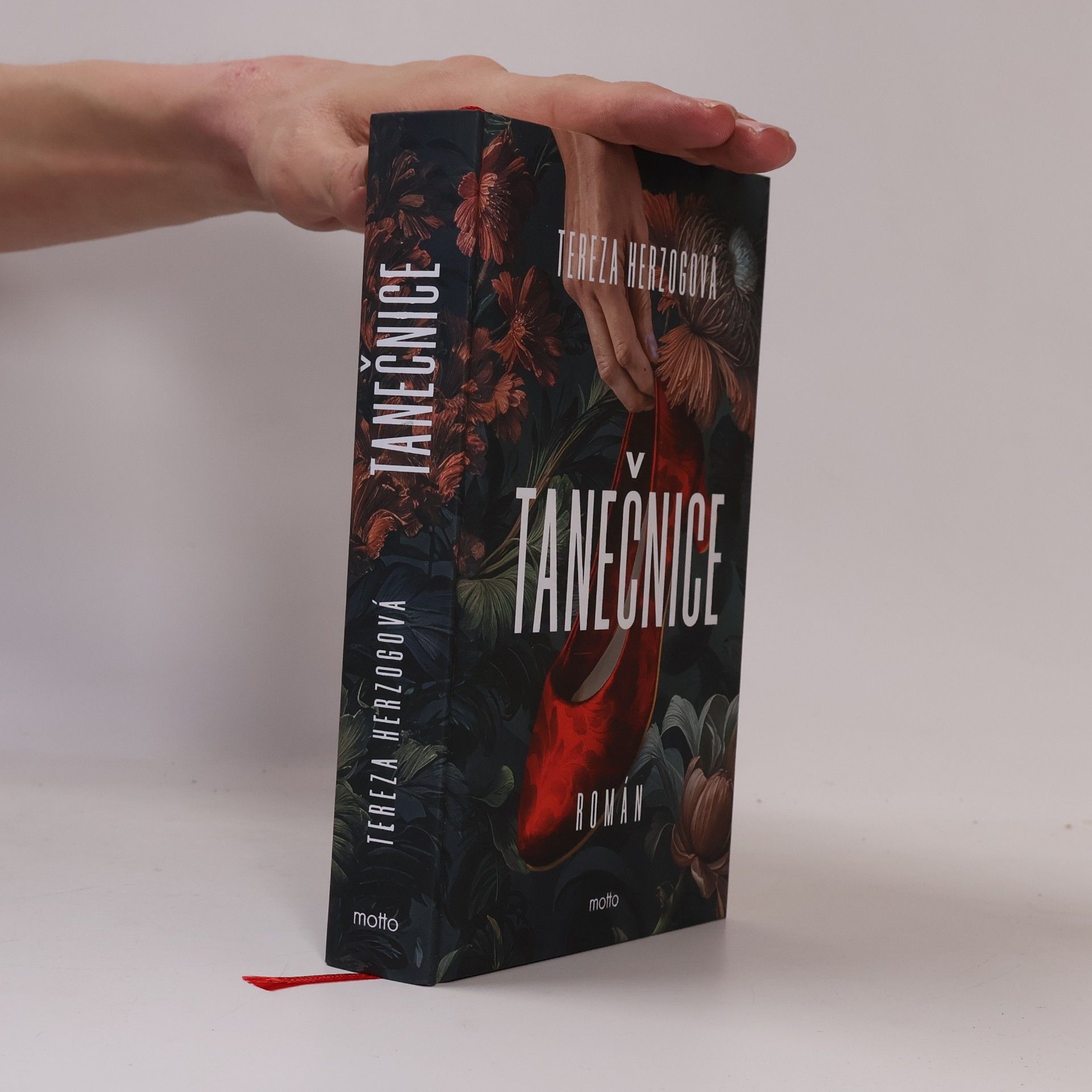 Tereza Herzogová Tanečnice