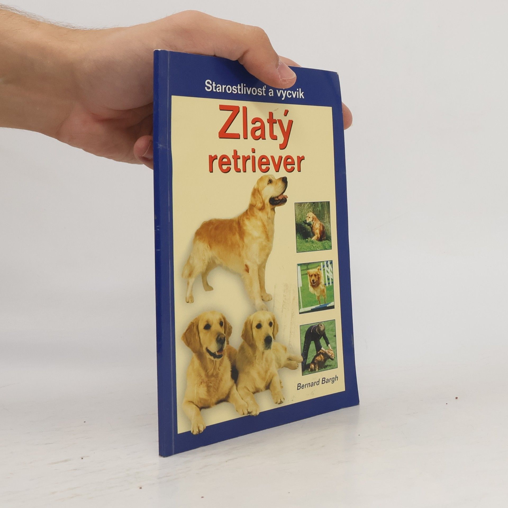 Bernard Bargh Zlatý retriever