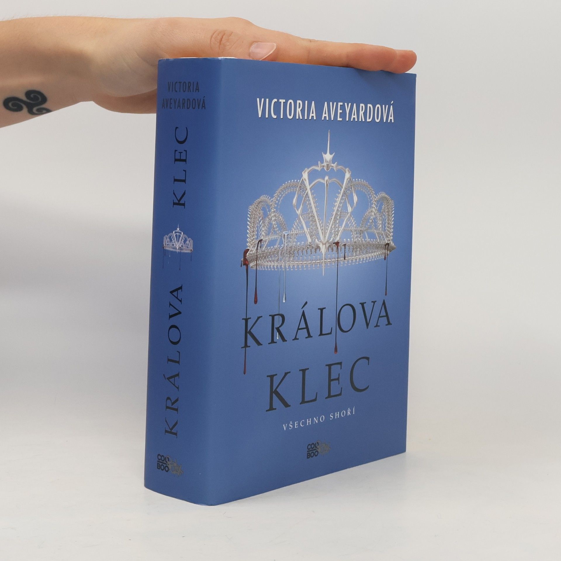 Victoria Aveyard Králova klec