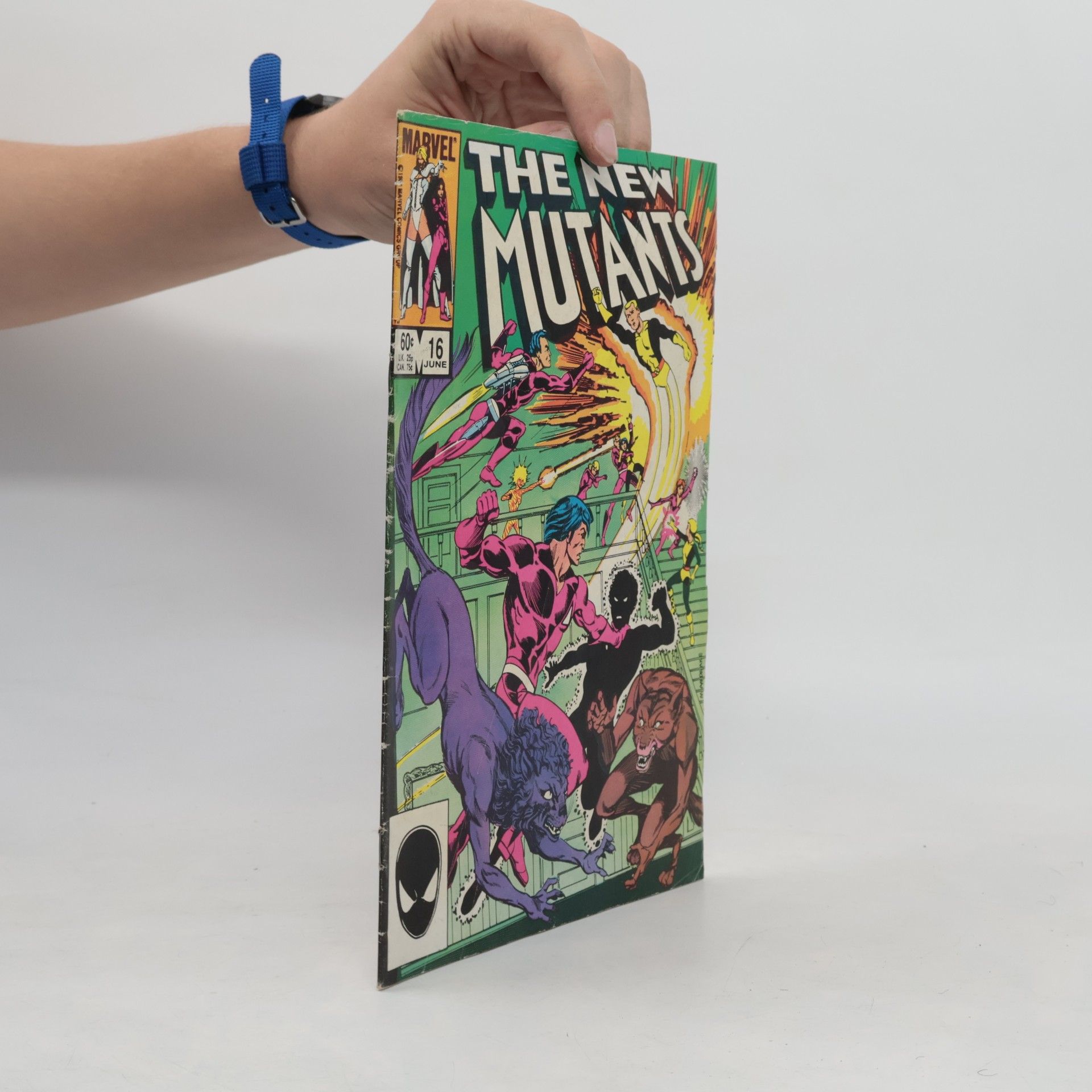 Kolektív autorov The New Mutants Vol. 1, No. 16