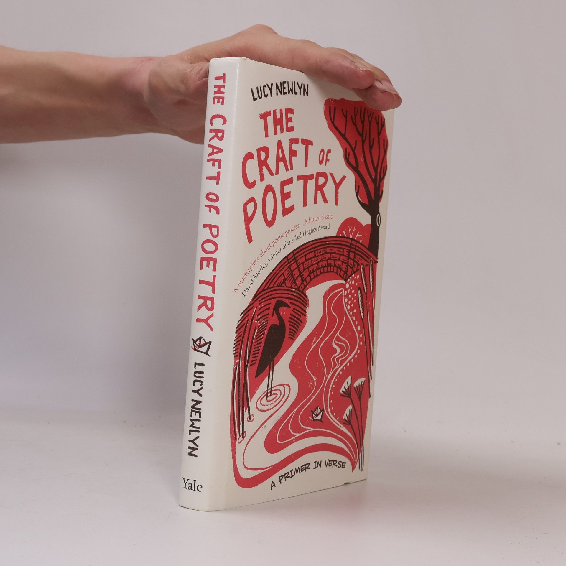 Lucy Newlyn Craft of Poetry