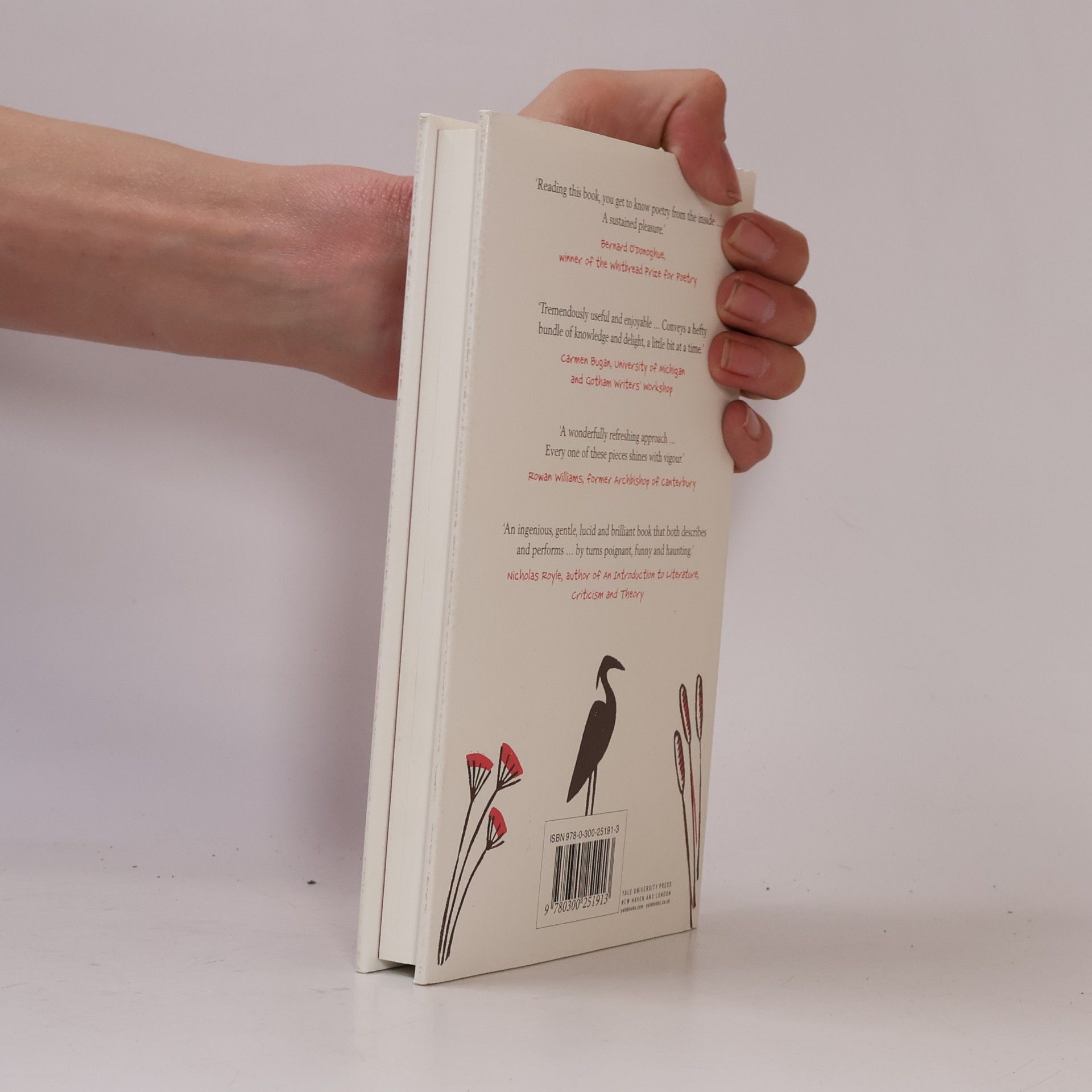 Lucy Newlyn Craft of Poetry