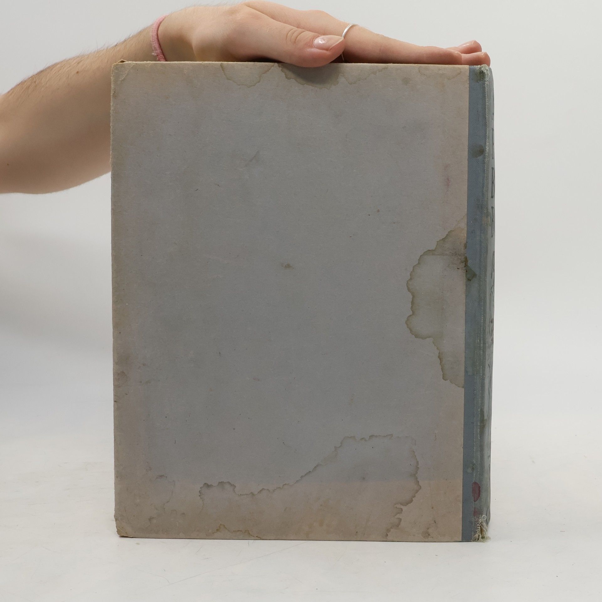 C. Bernard Rutley Aeroplane Bumper Book