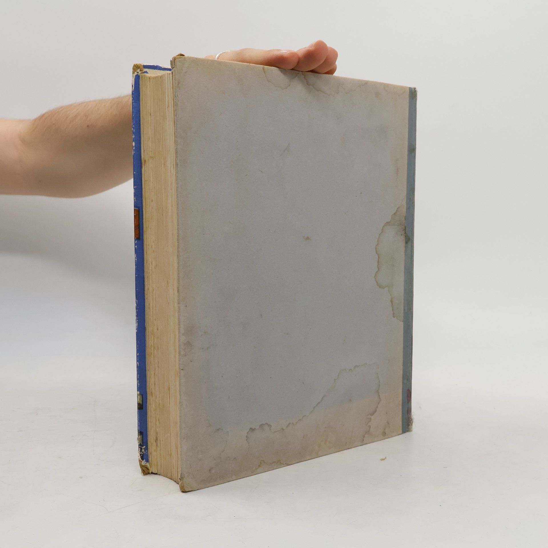 C. Bernard Rutley Aeroplane Bumper Book