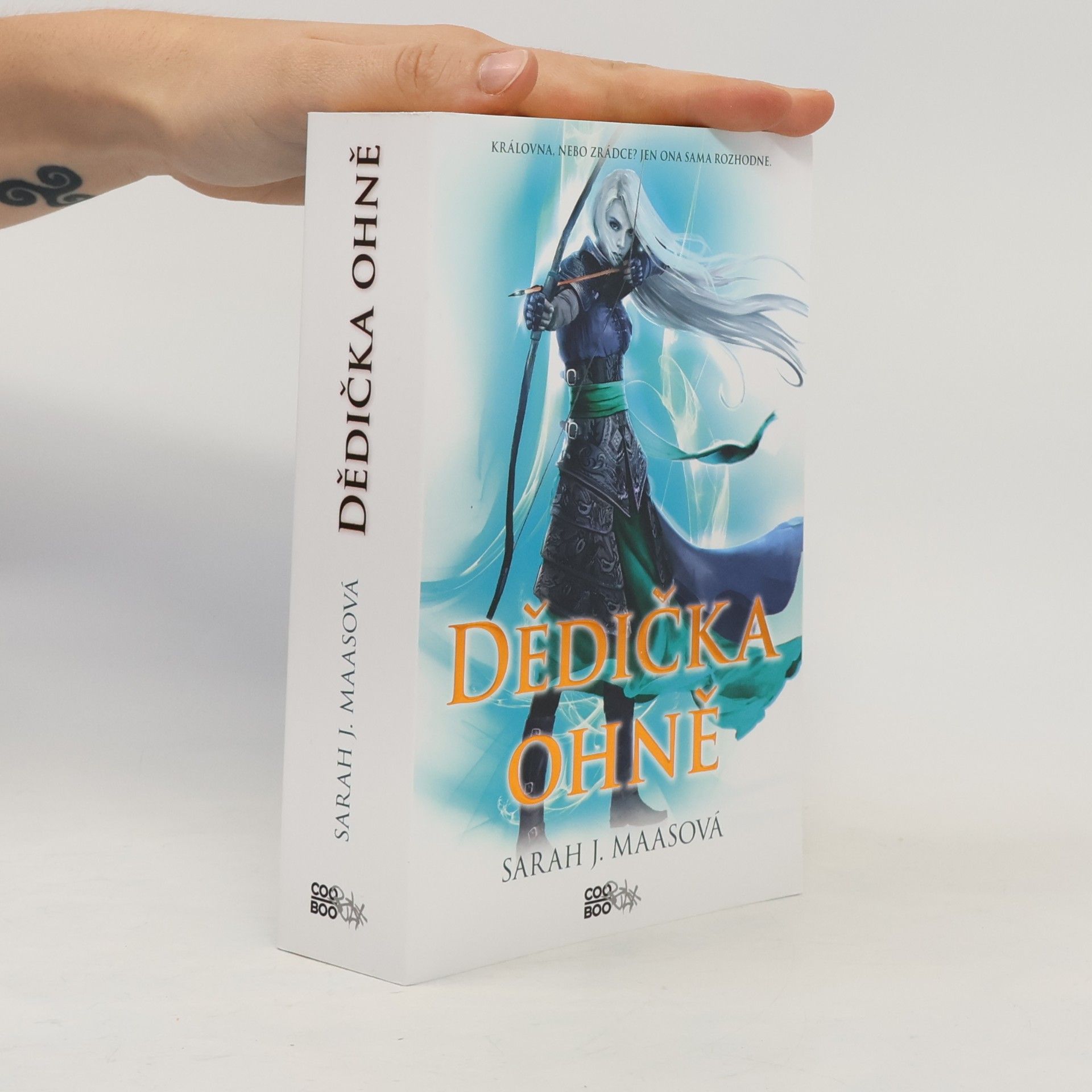 Sarah J. Maas Dědička ohně
