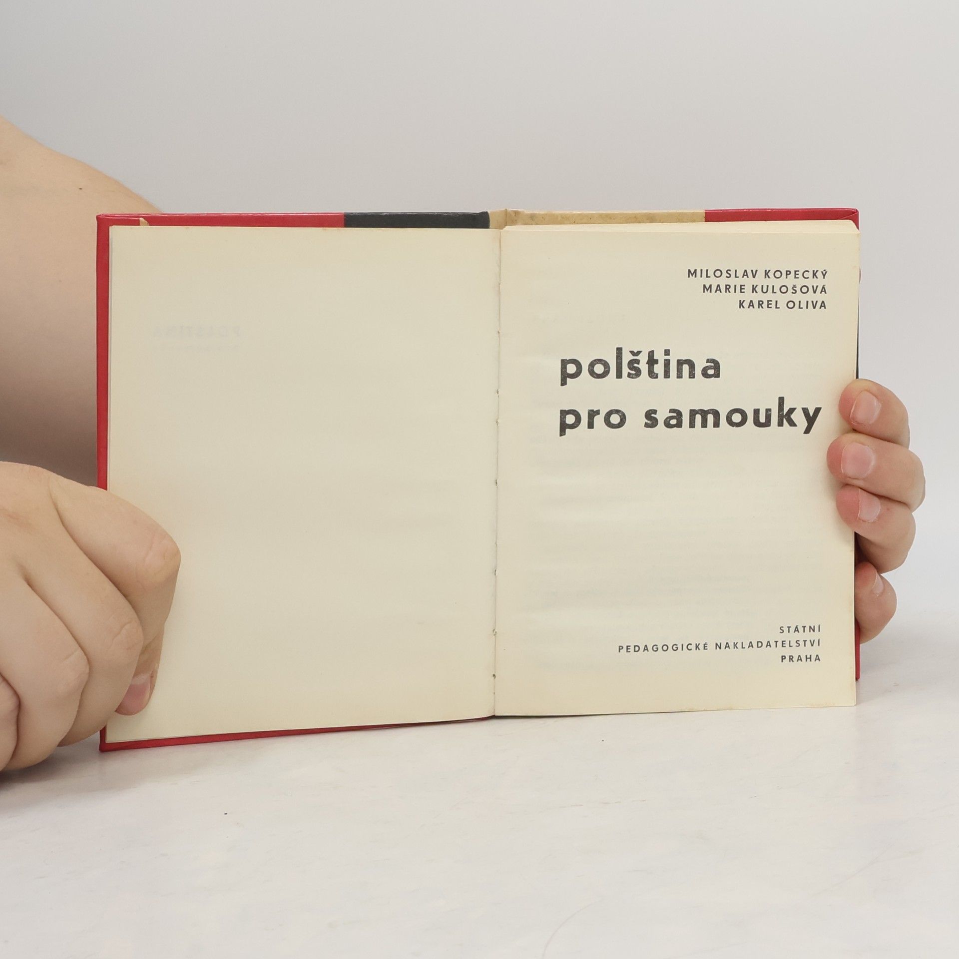 Autorenkollektiv Polština pro samouky