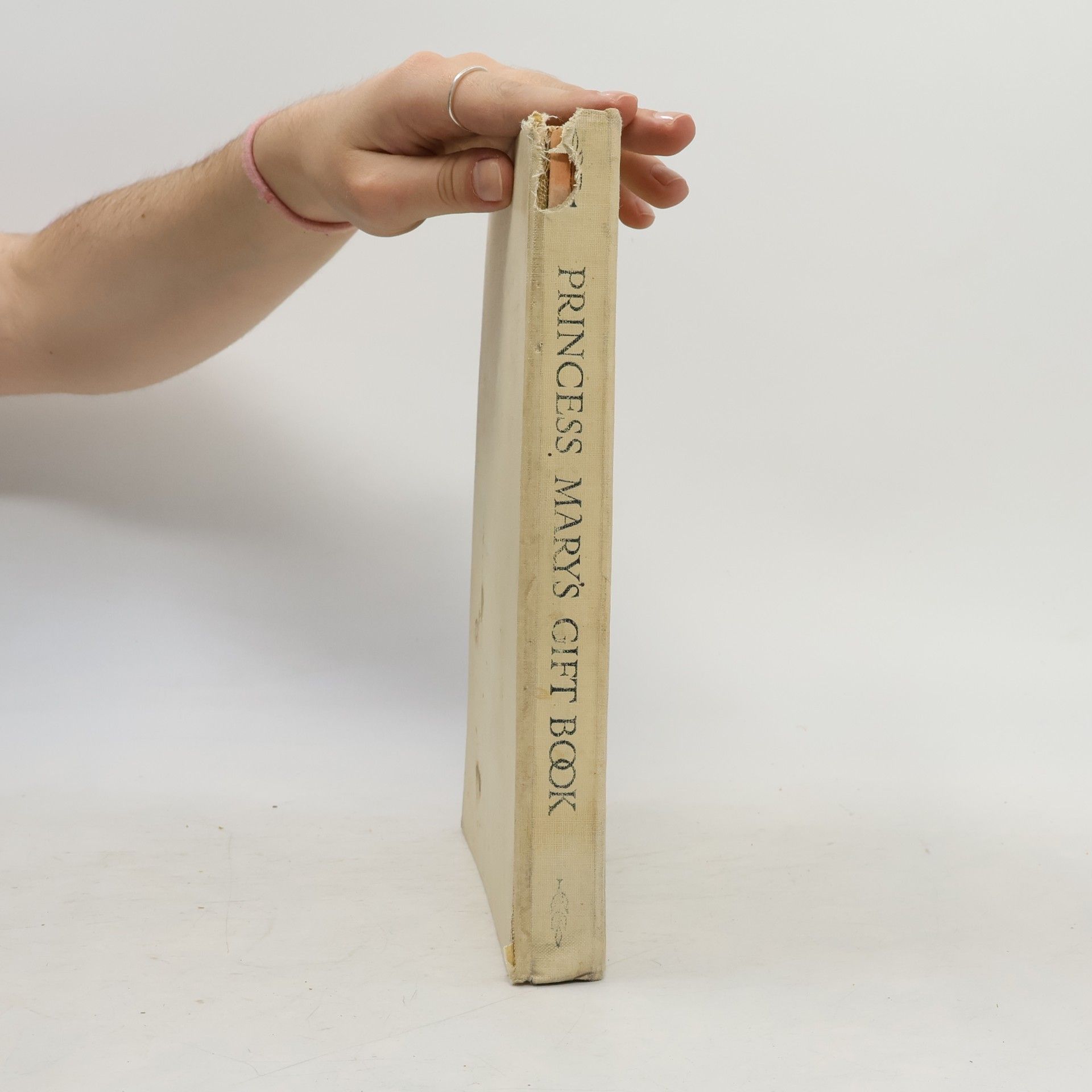 AA.VV. Princess Mary's Gift Book