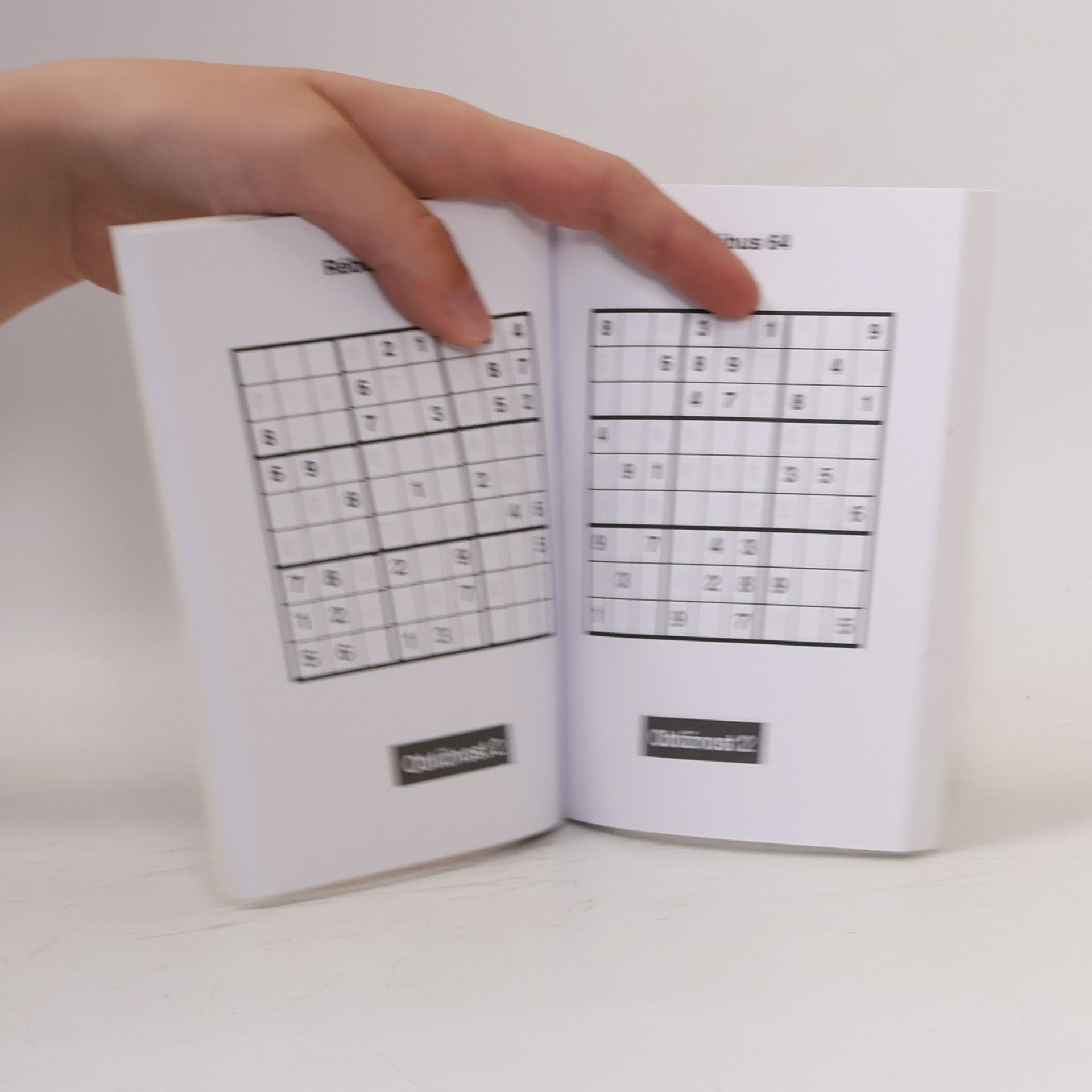 Pavel Růt Sudoku na deku