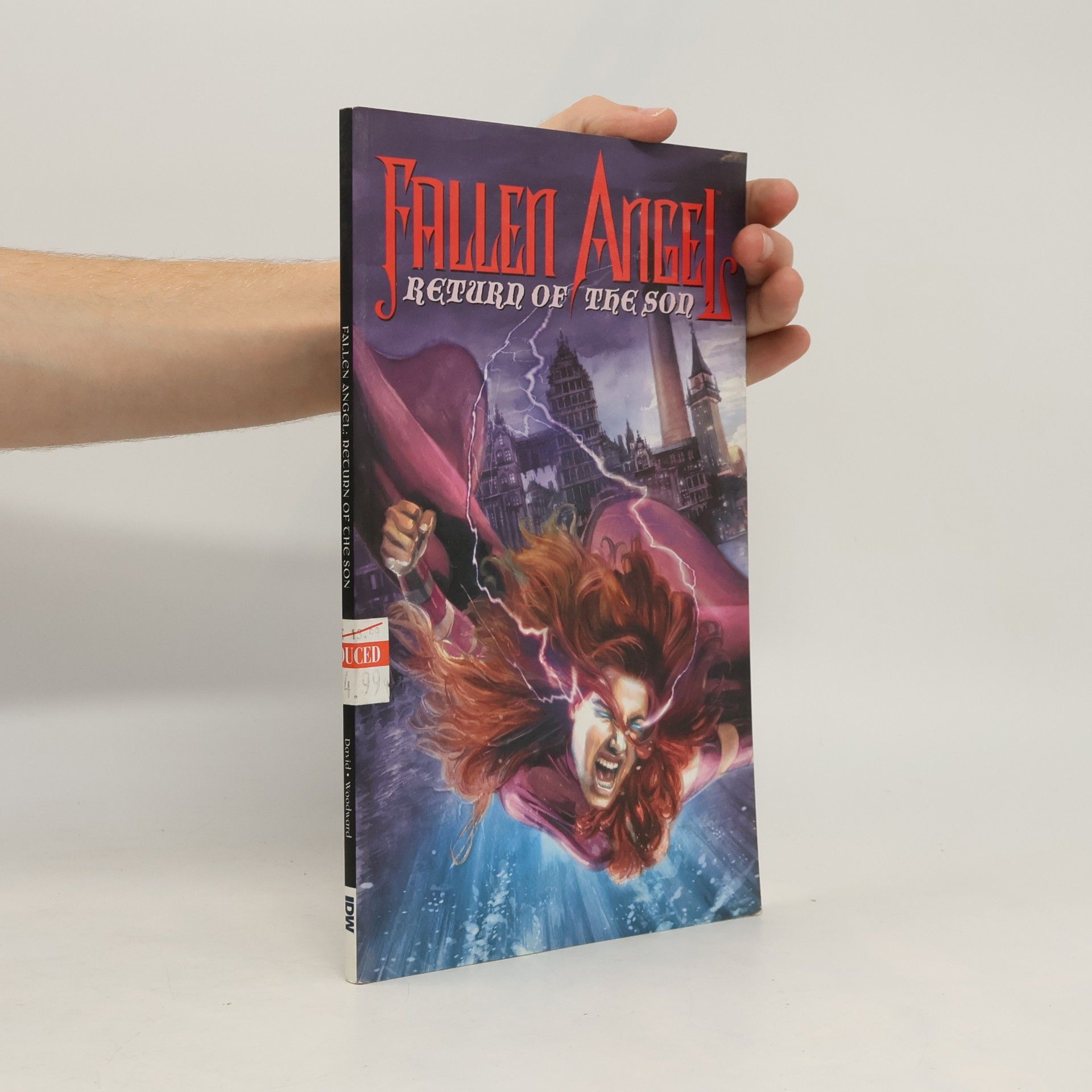 J.K. Woodward Fallen Angel: Return of the Son