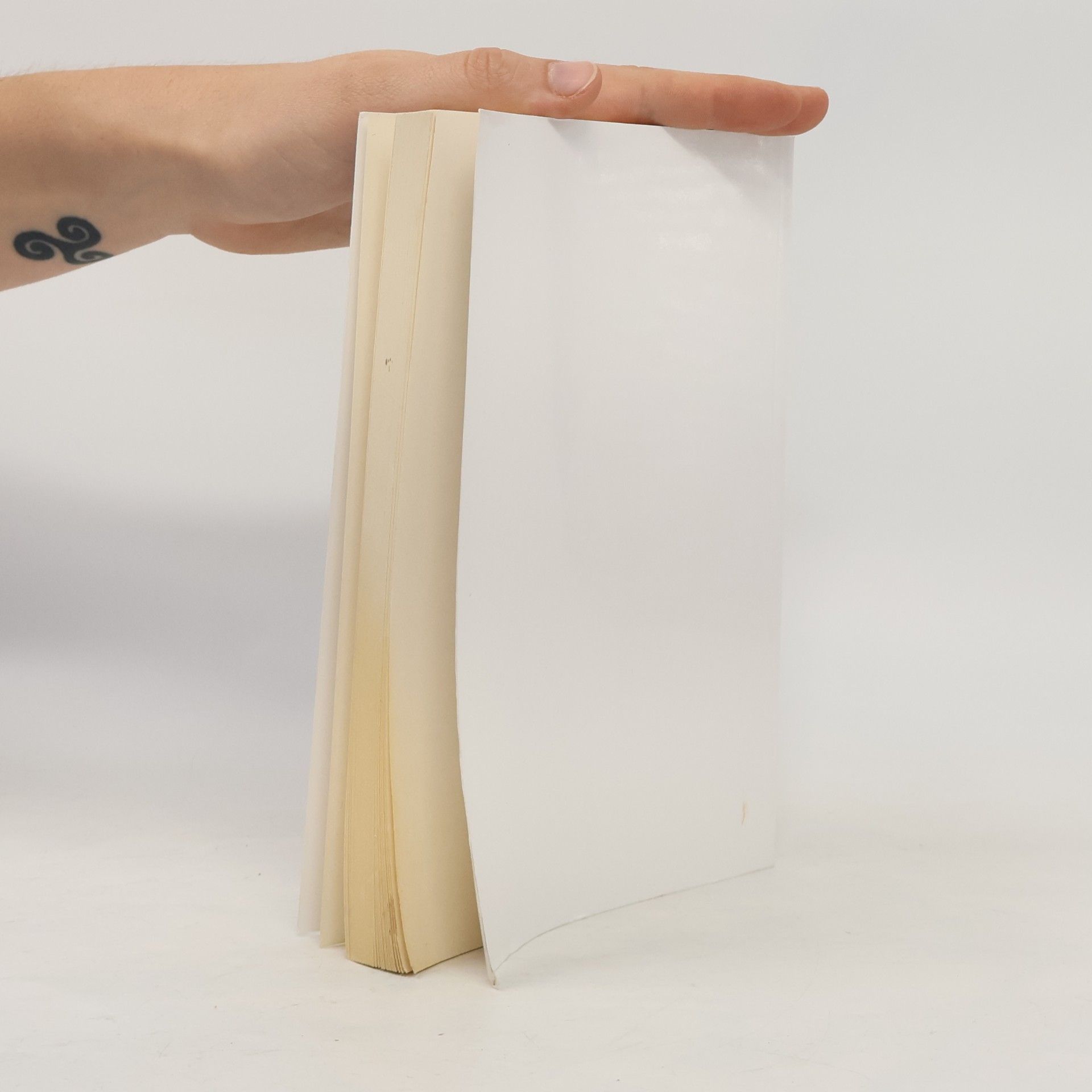 Václav Jakš Včelař začátečník