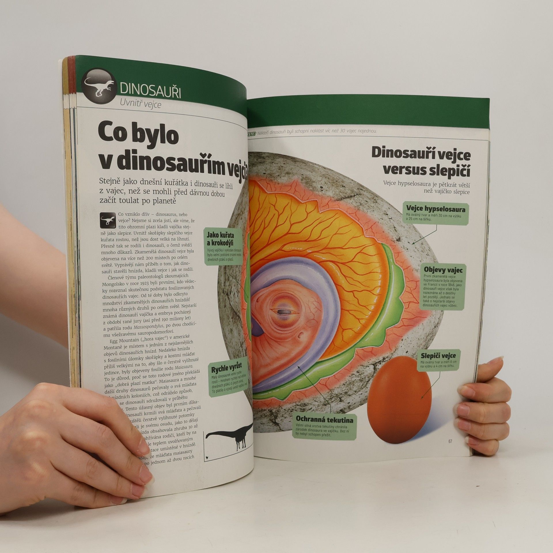 Collectif d'auteurs Dinosauři