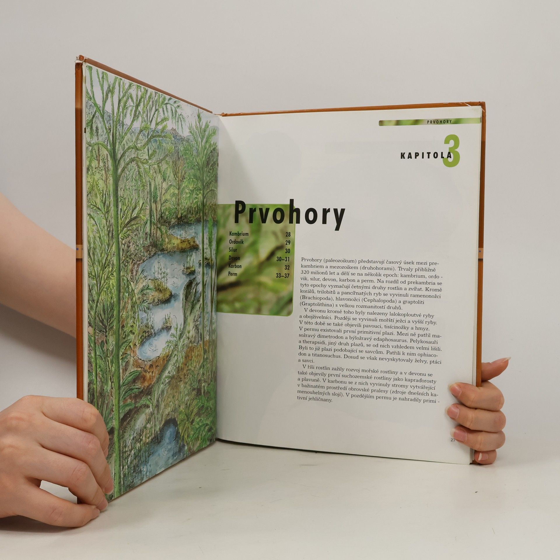 Autorenkollektiv Dinosauři
