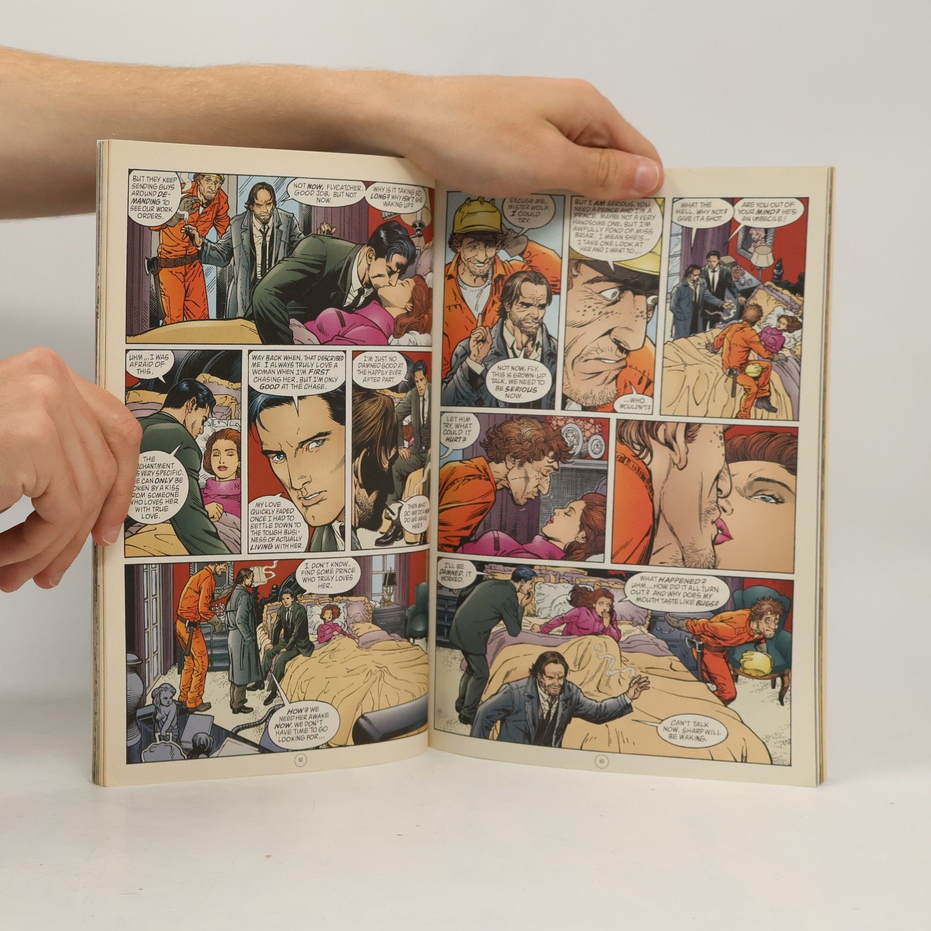 Kolektiv autorů Fables : Storybook Love