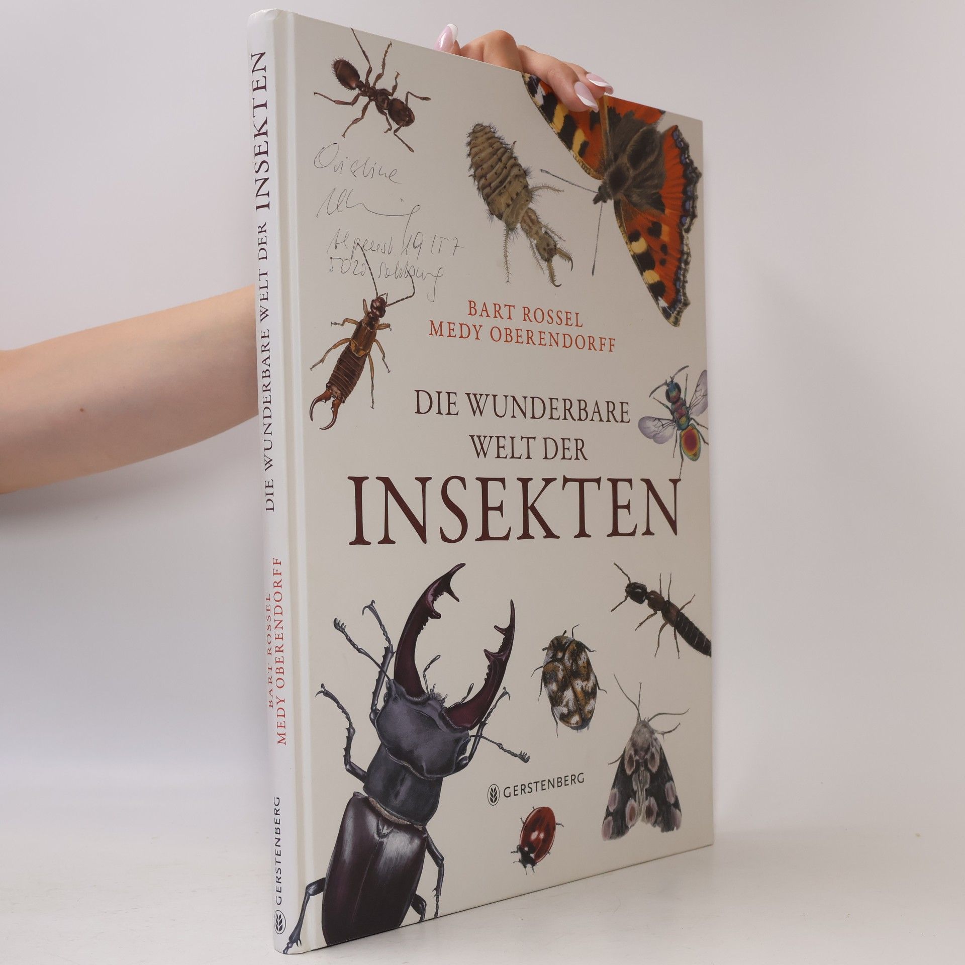 Michel Haguenoer Die wunderbare Welt der Insekten