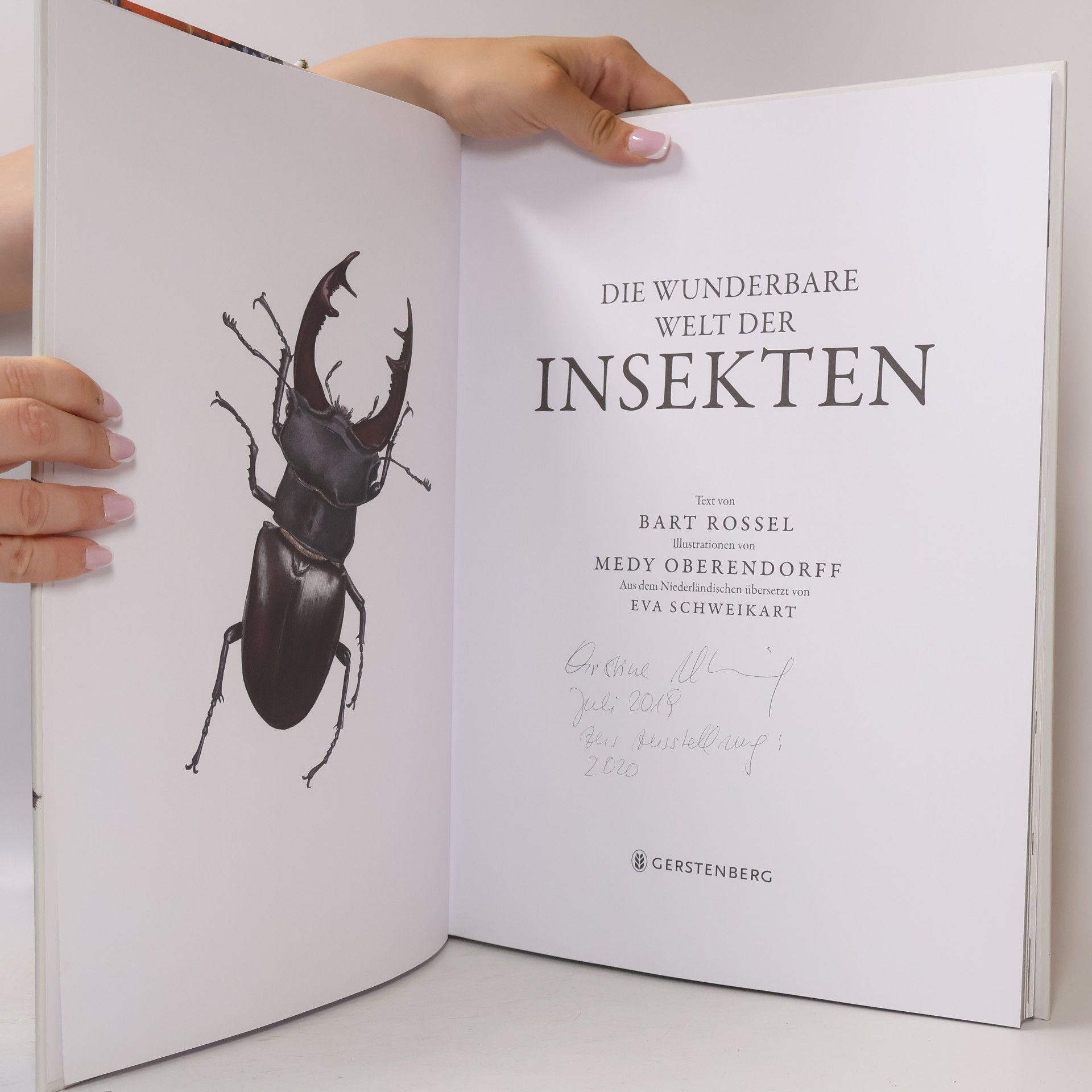 Bart Rossel Die wunderbare Welt der Insekten