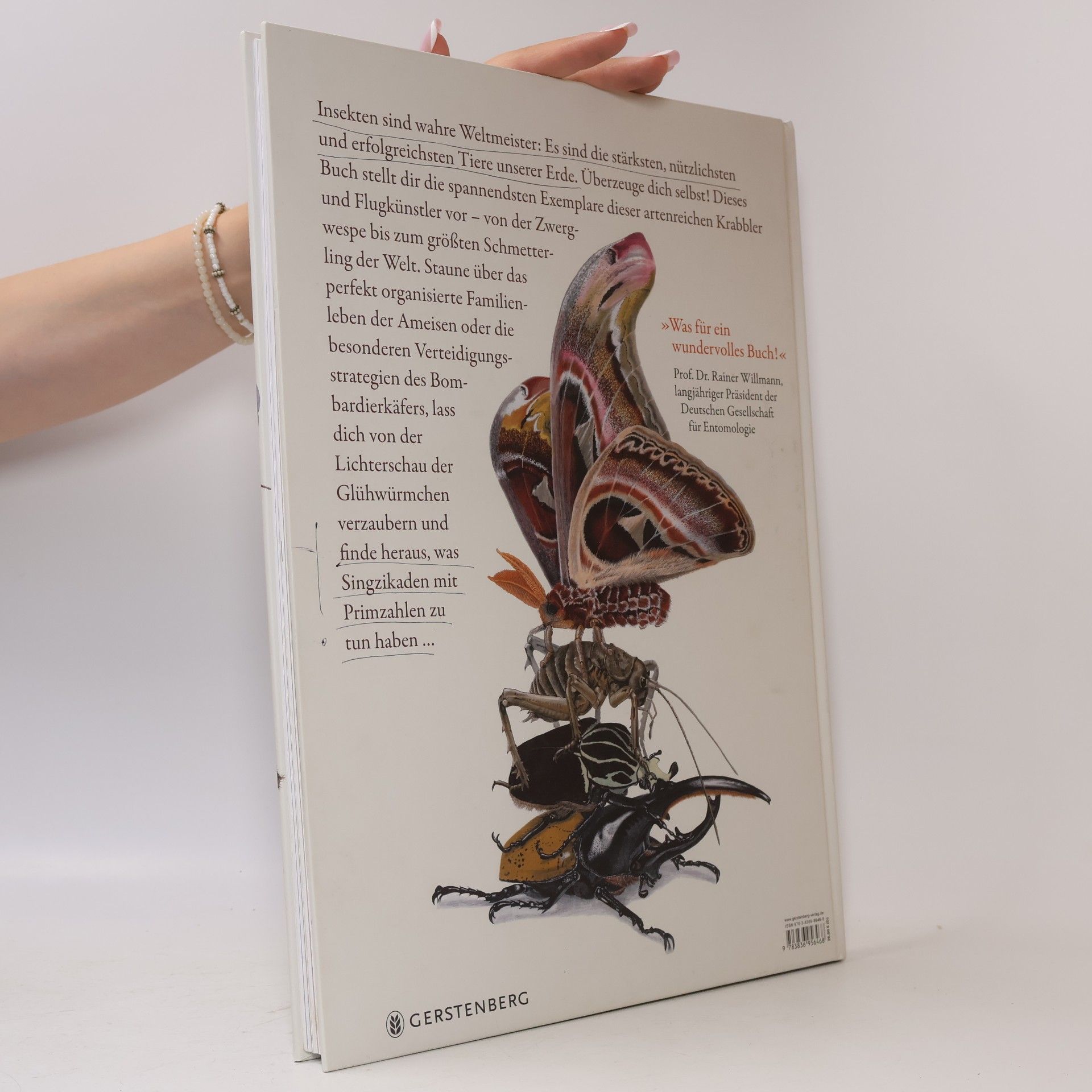 Bart Rossel Die wunderbare Welt der Insekten