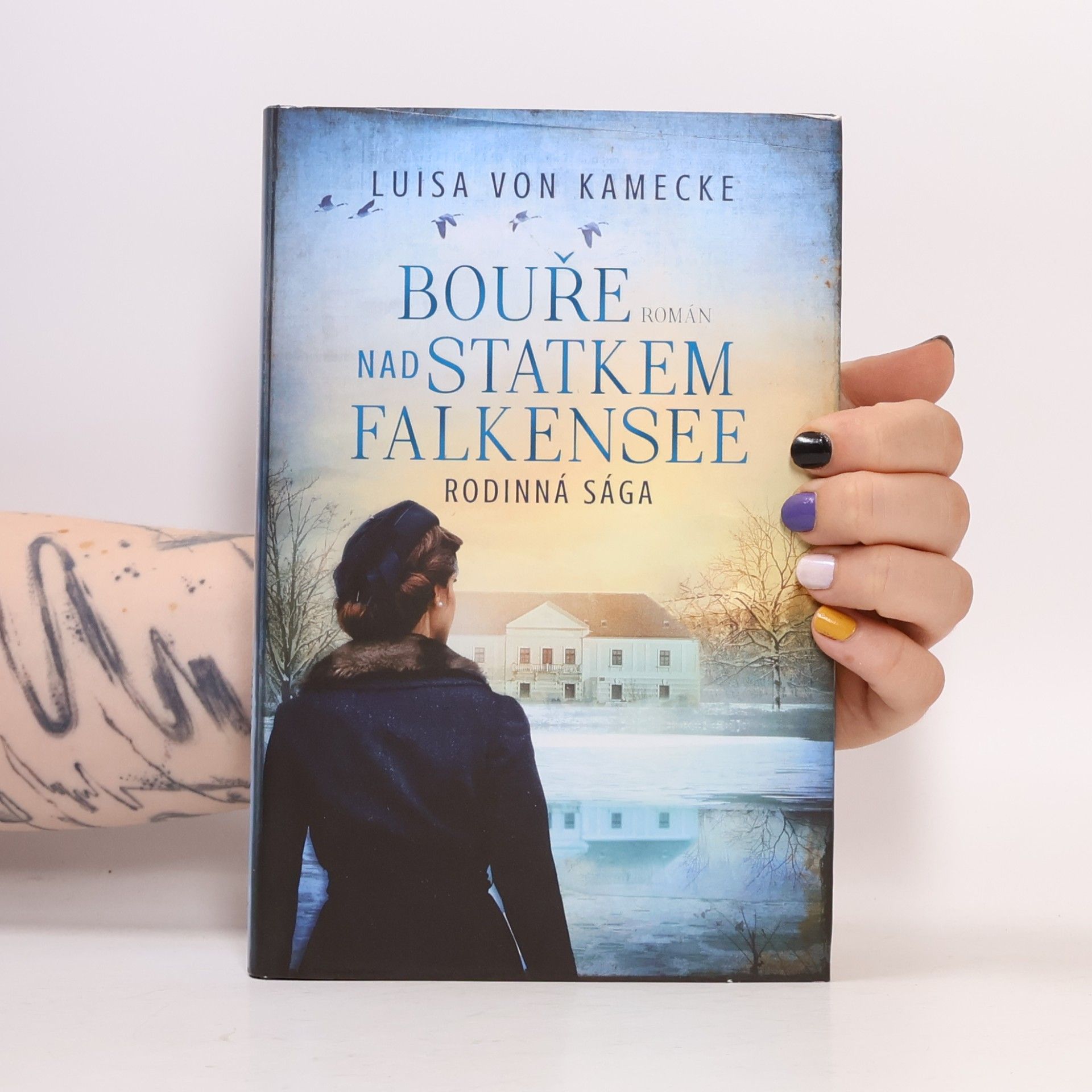 Luisa von Kamecke Bouře nad statkem Falkensee