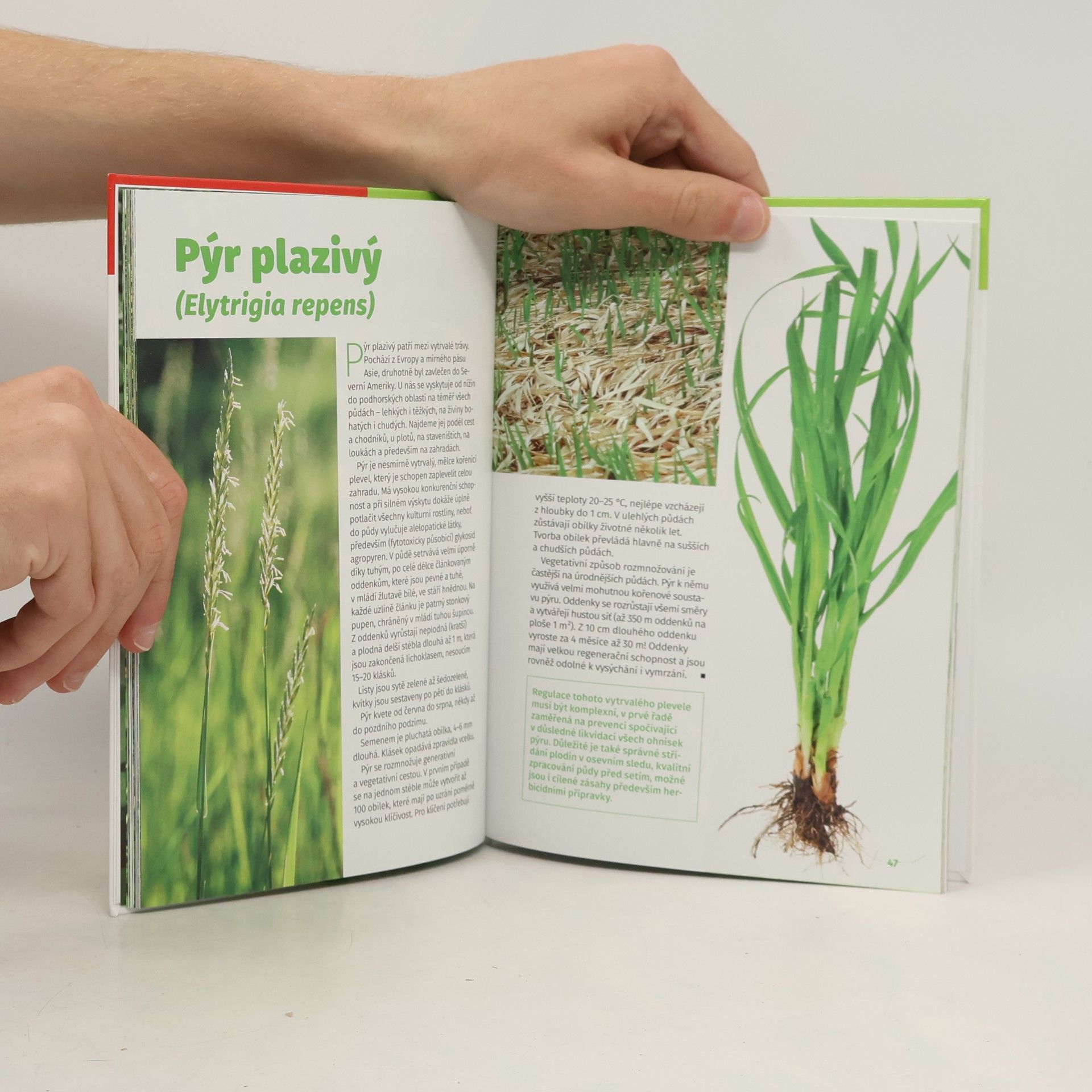 Miloš Kučera Atlas plevelů