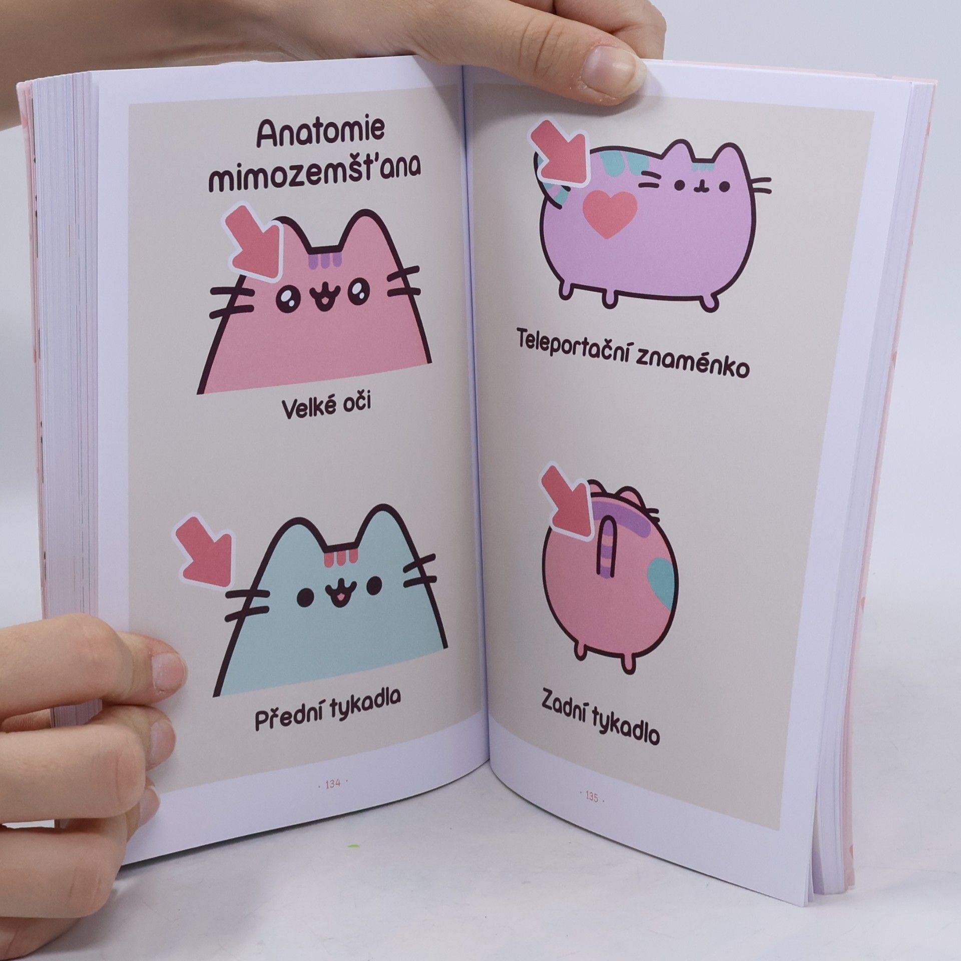 Claire Belton Bambilion životů košišty Pusheen