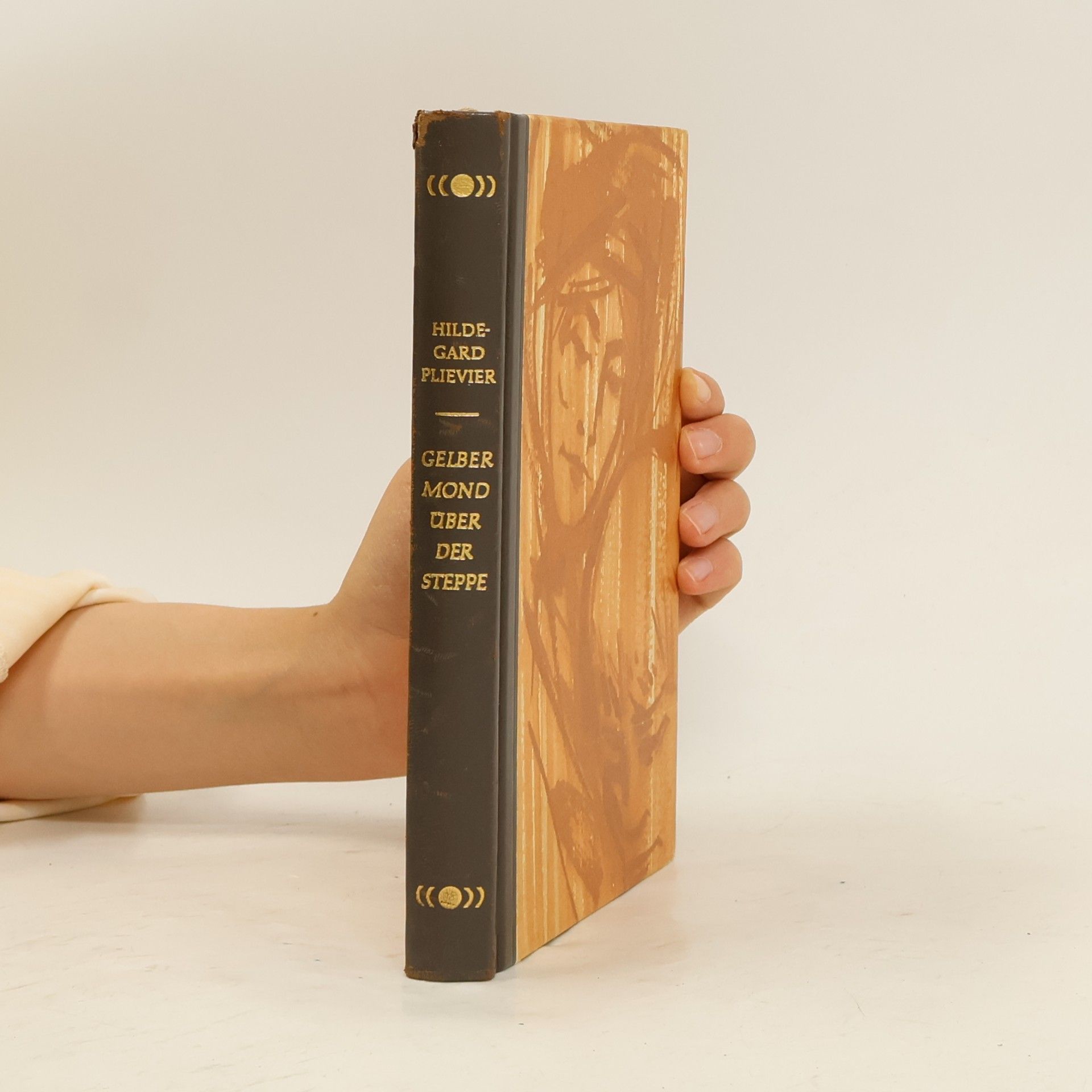 Hildegard Plievier Gelbert Mond über der Steppe