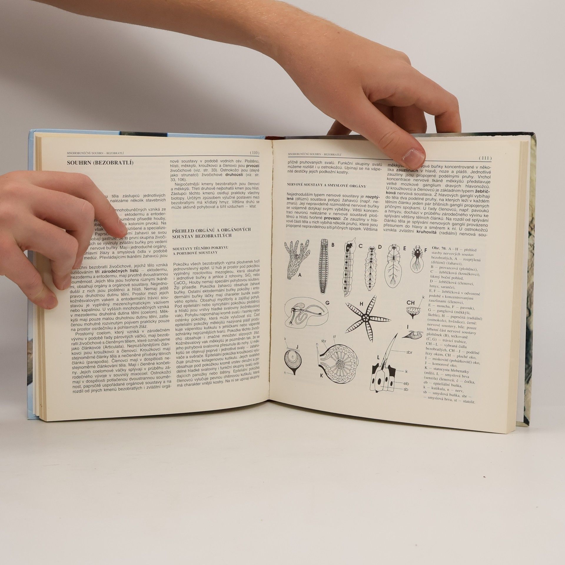 Miroslav Papáček Zoologie